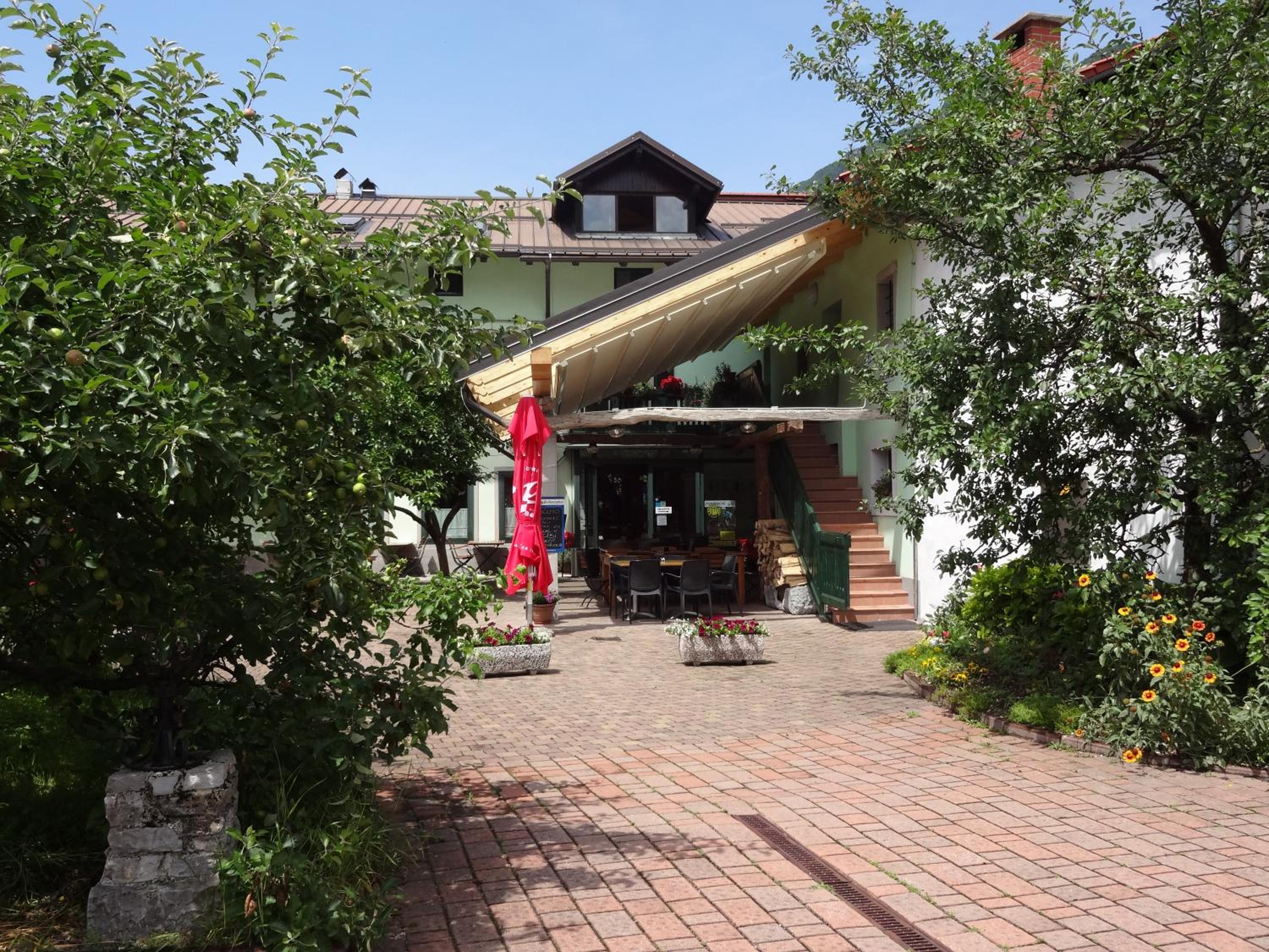 Photo 21