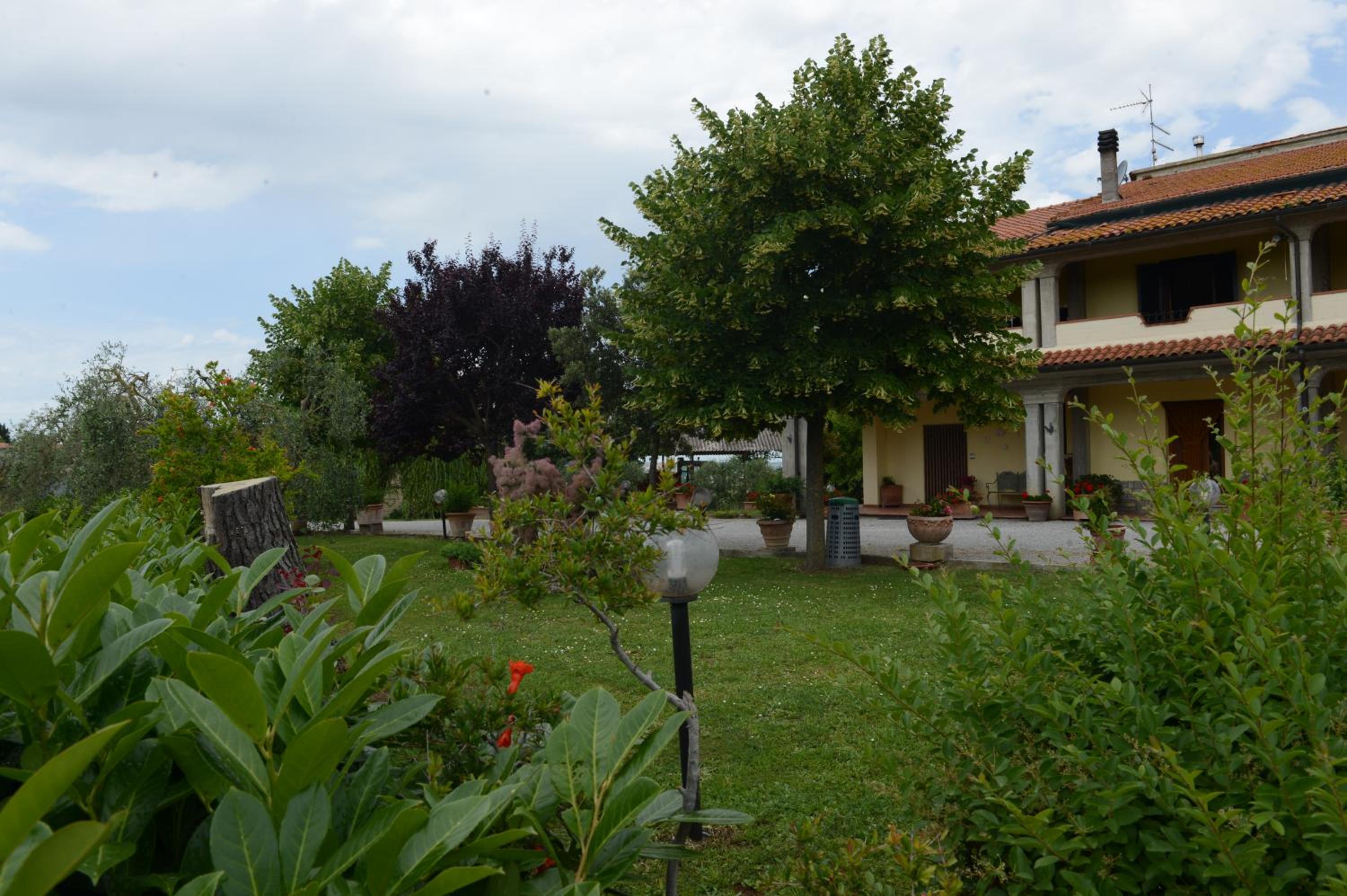Gli Ulivi