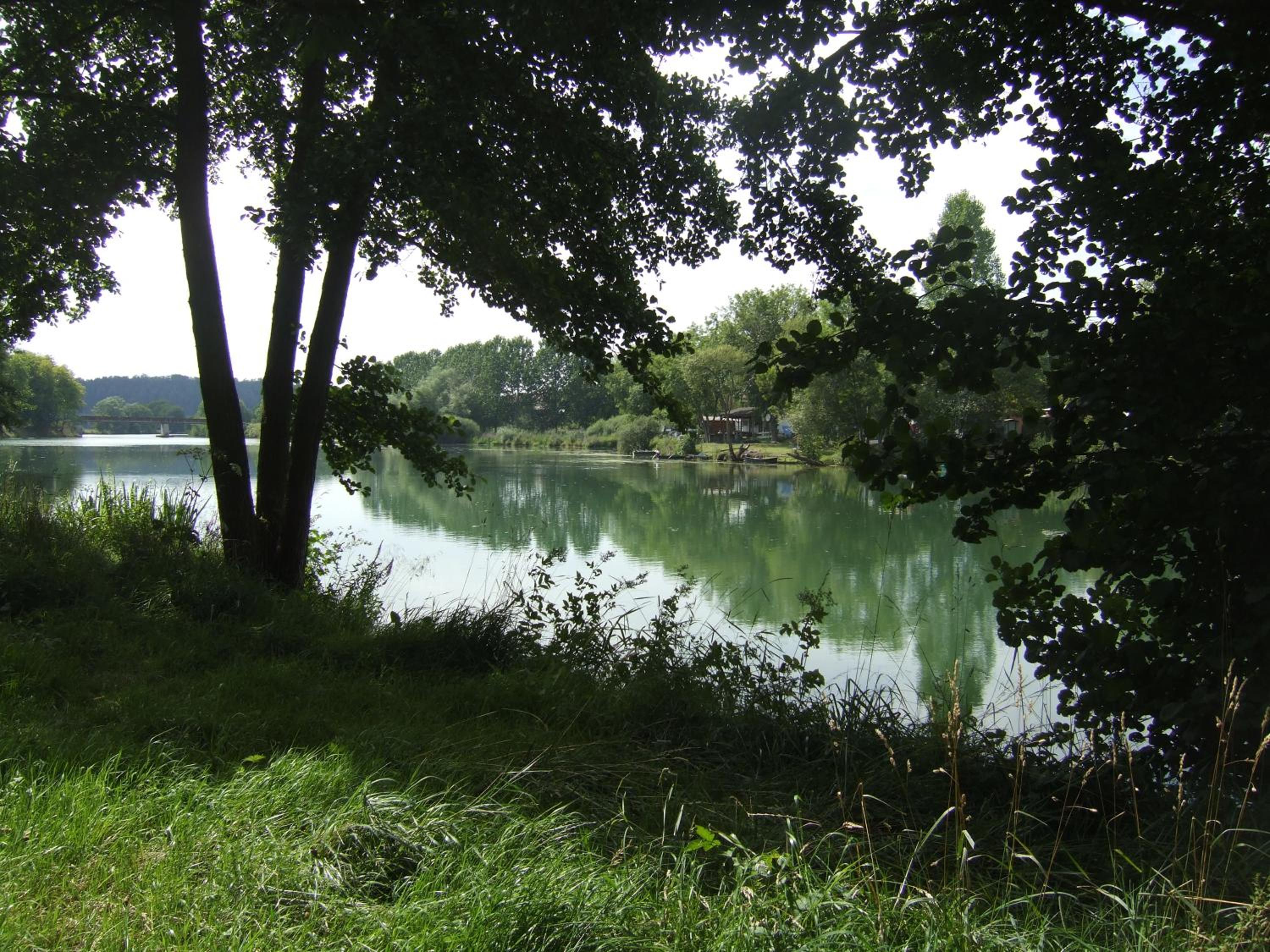 Photo 43
