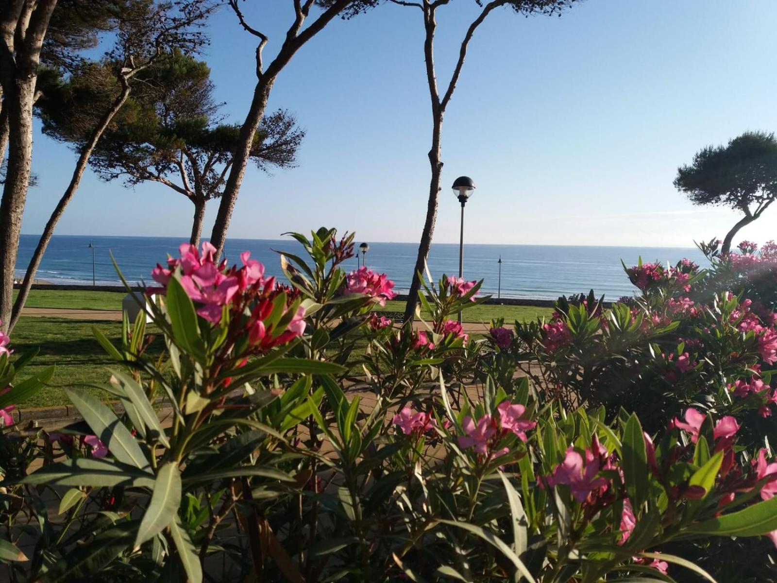 Atalaya a pie de playa view 2
