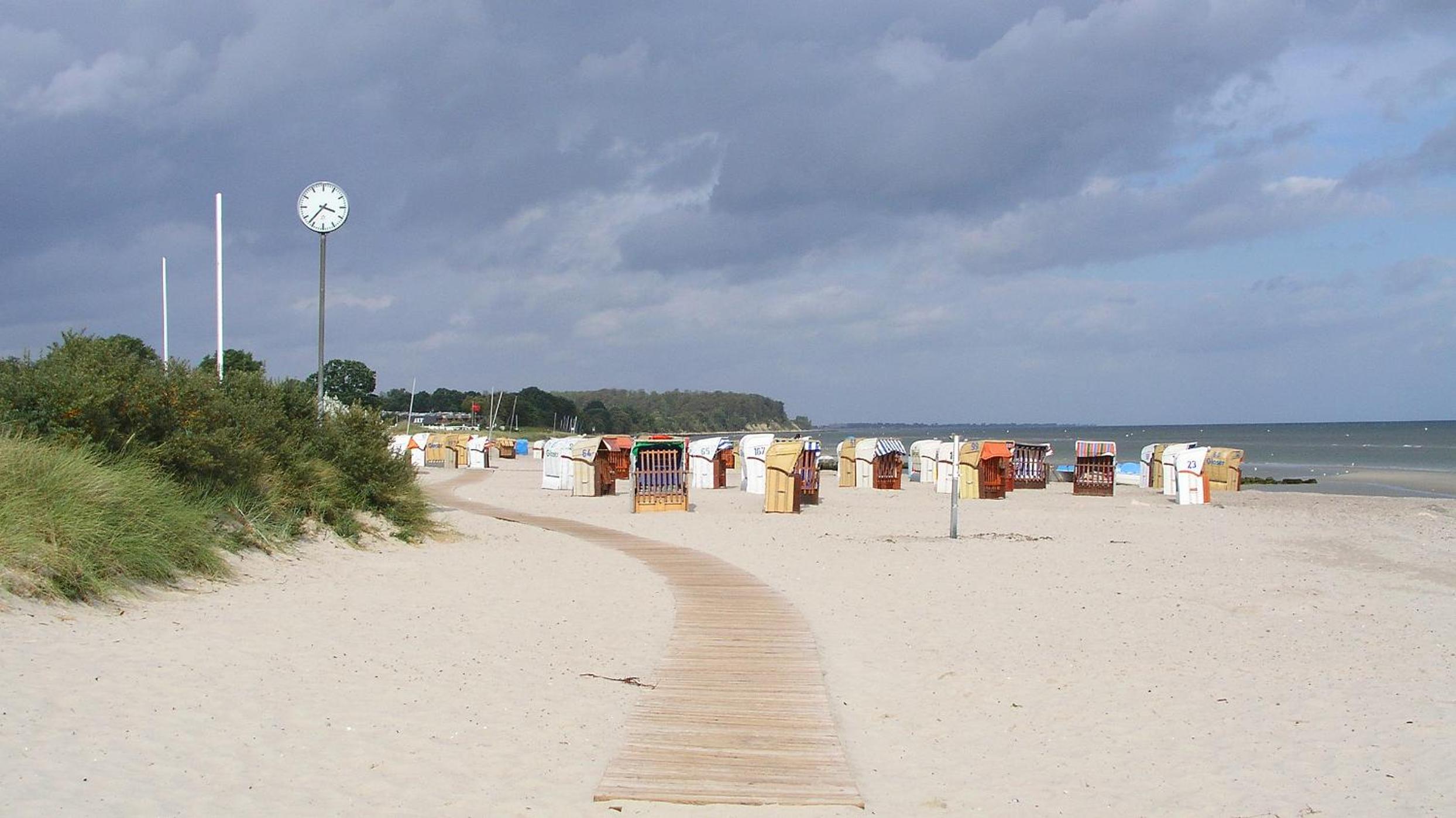 Bärenklau