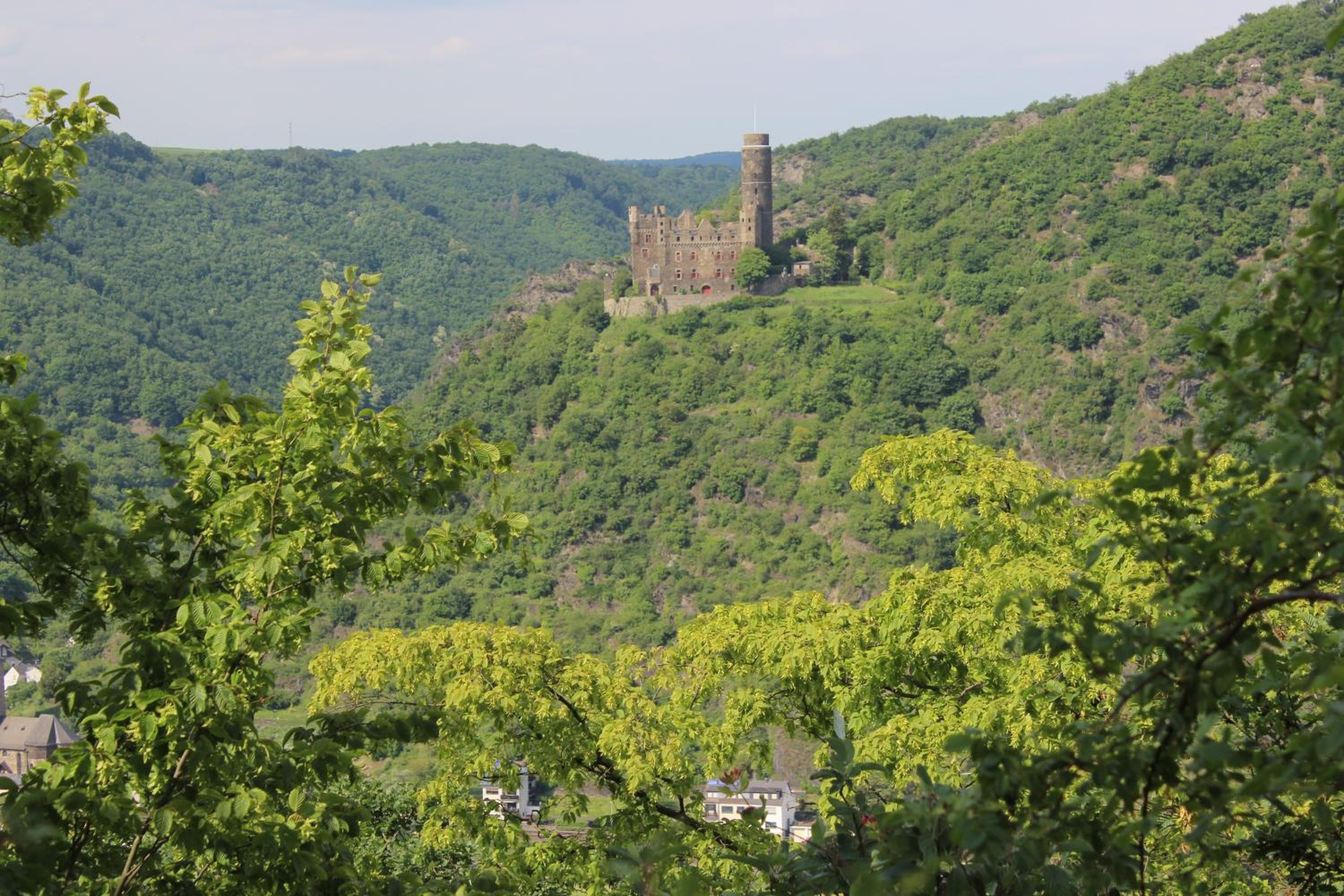 Ferienwohnung Loreley