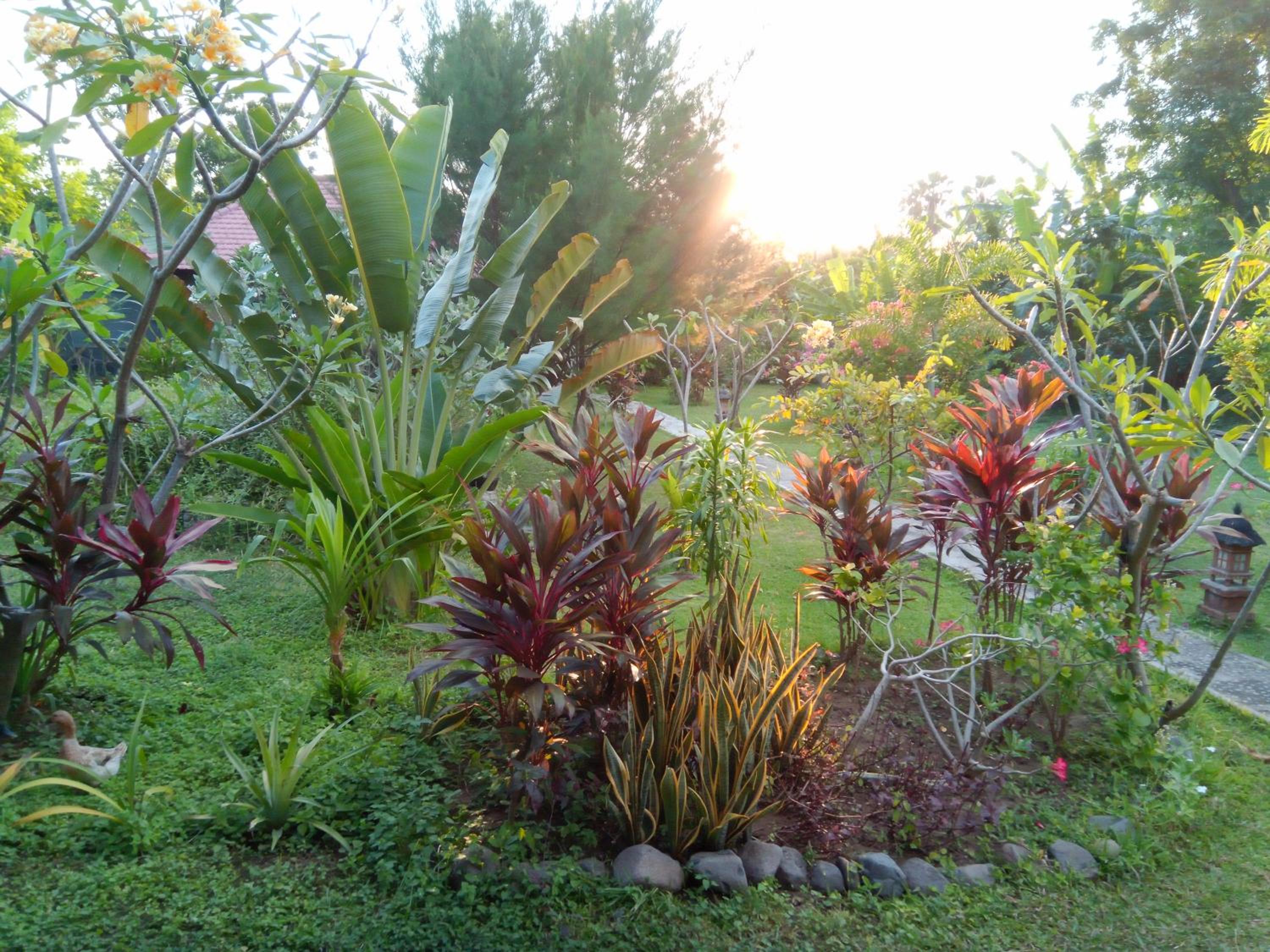Photo 40
