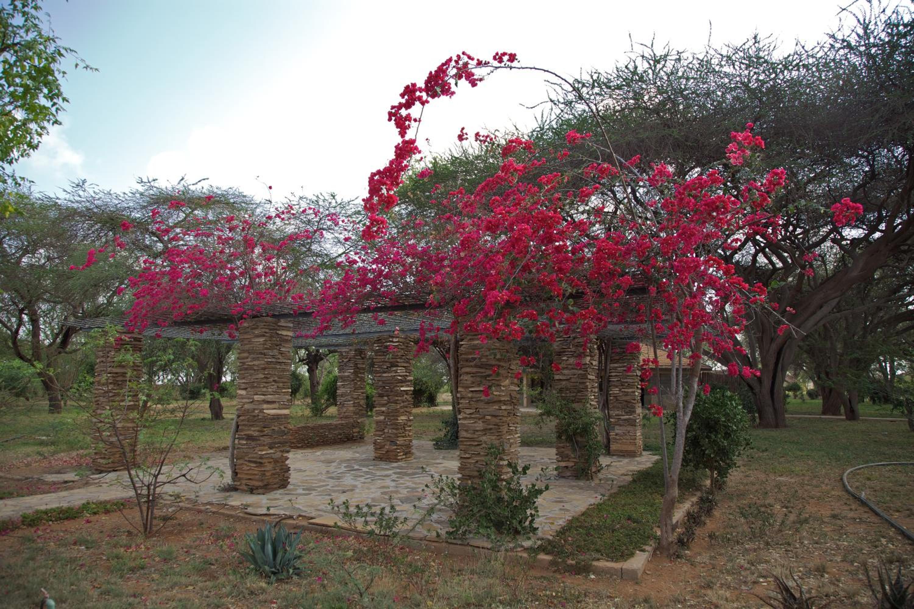 Ashnil Aruba Lodge