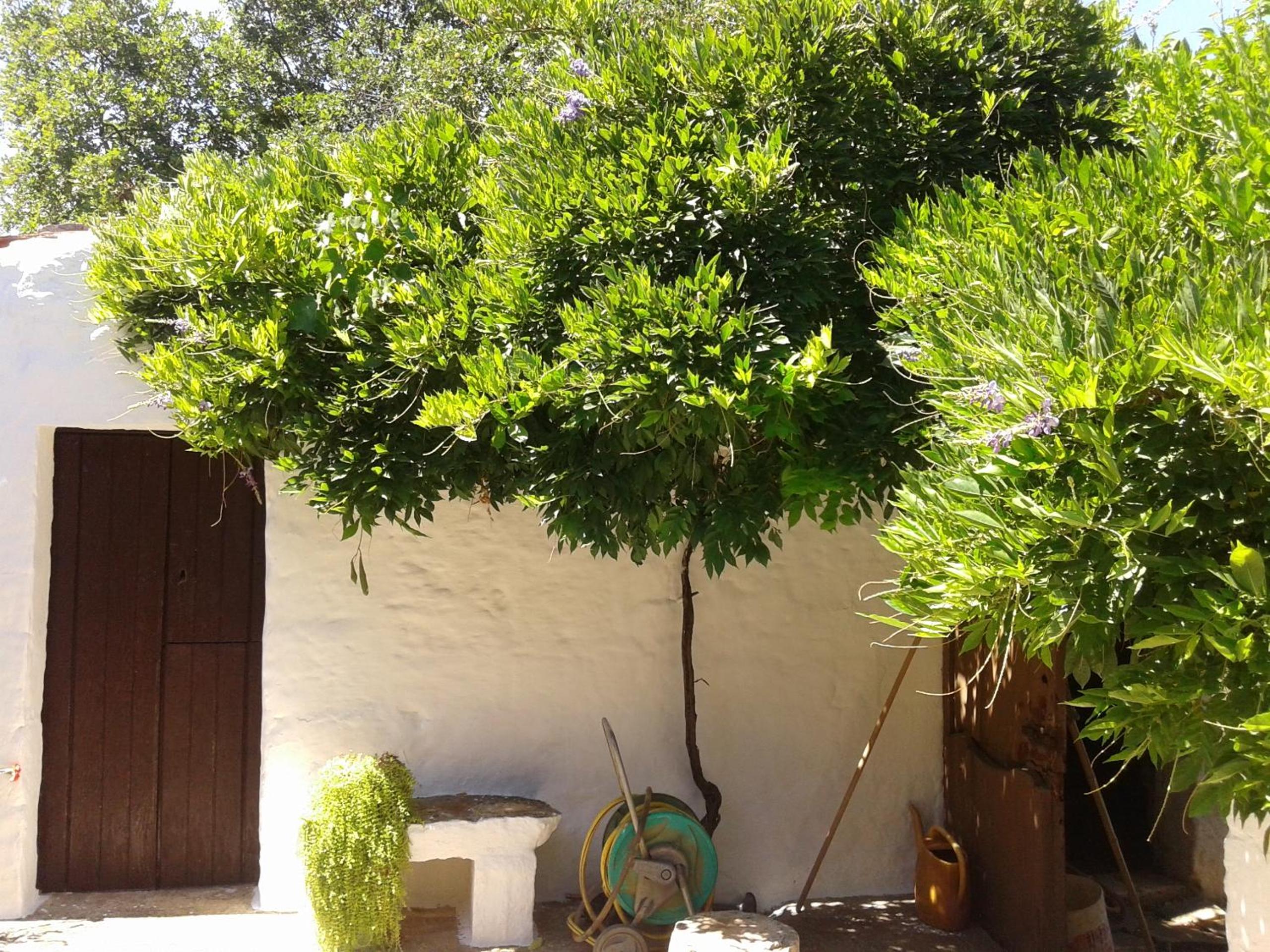 Photo 17
