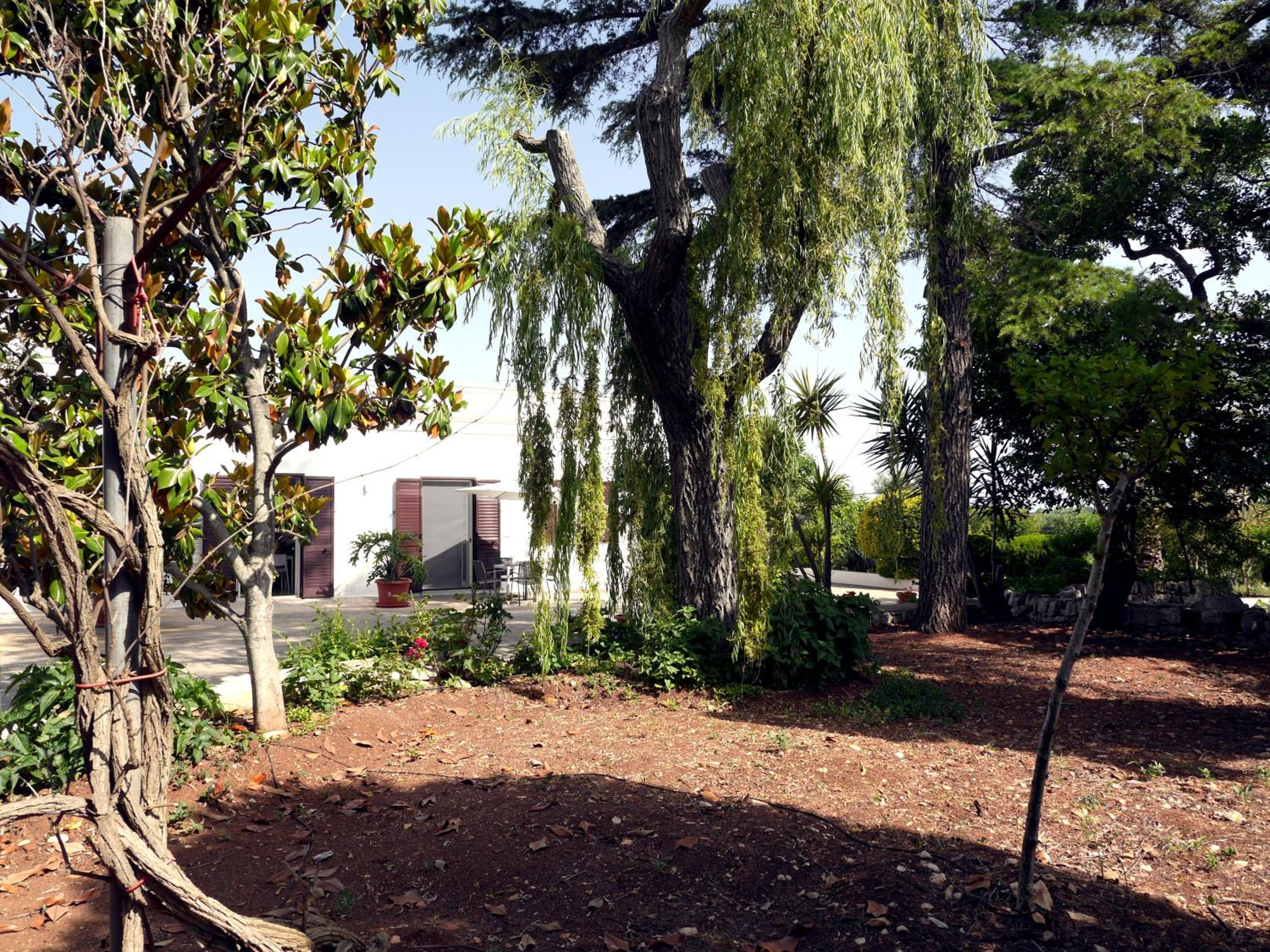 Photo 24