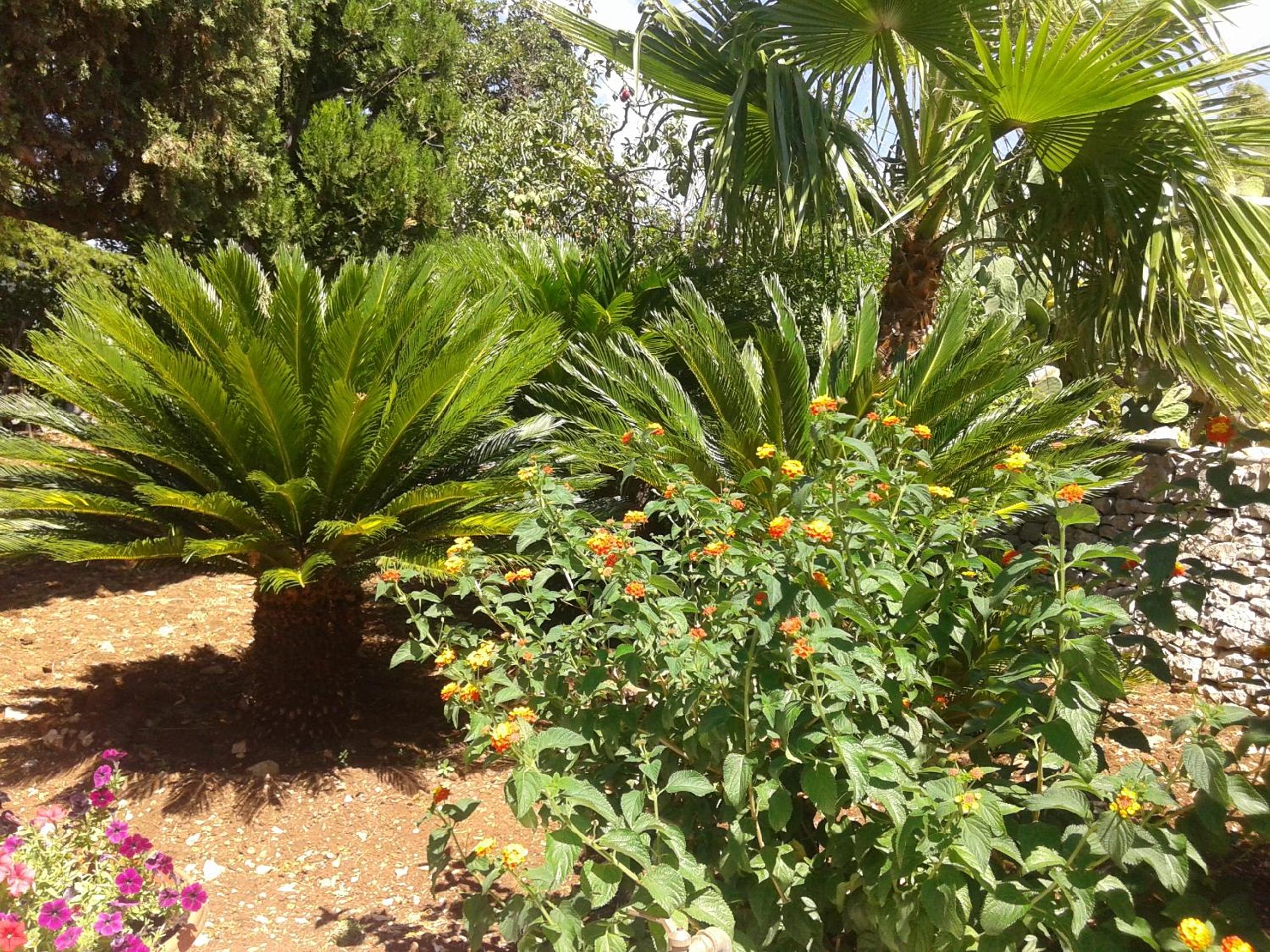 Photo 27