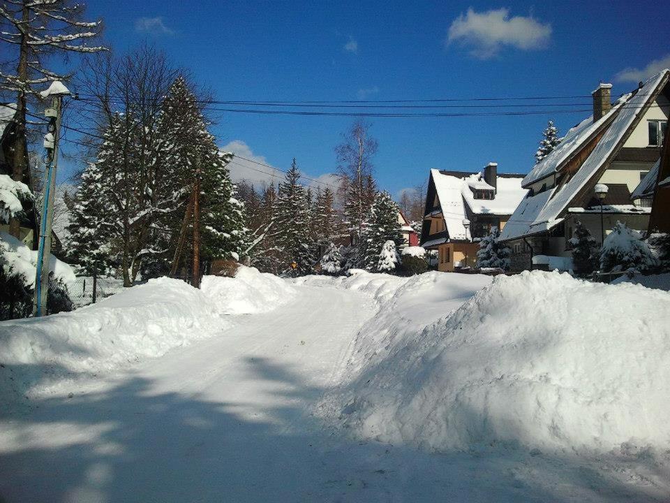 Photo 31