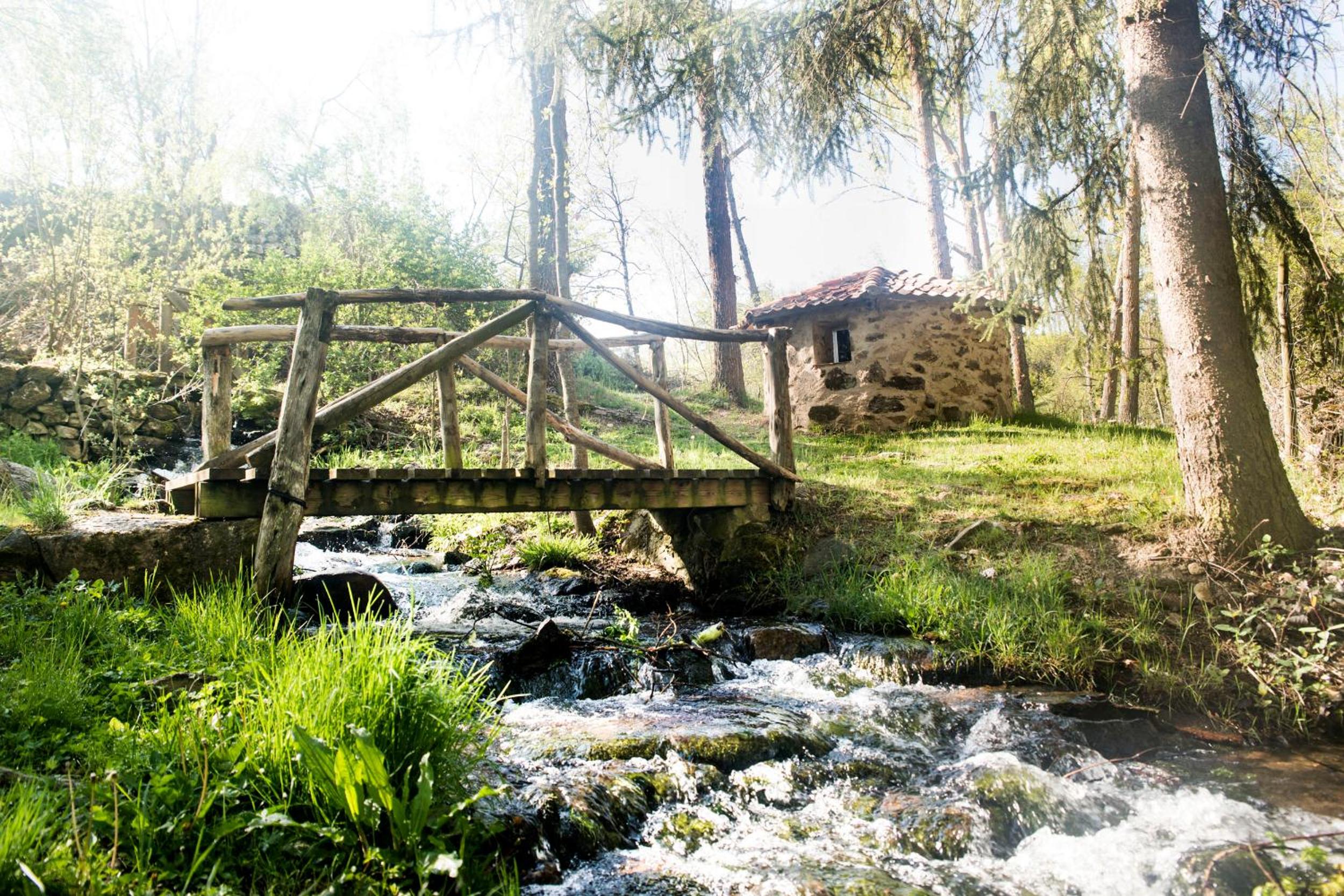 Molino del Feo
