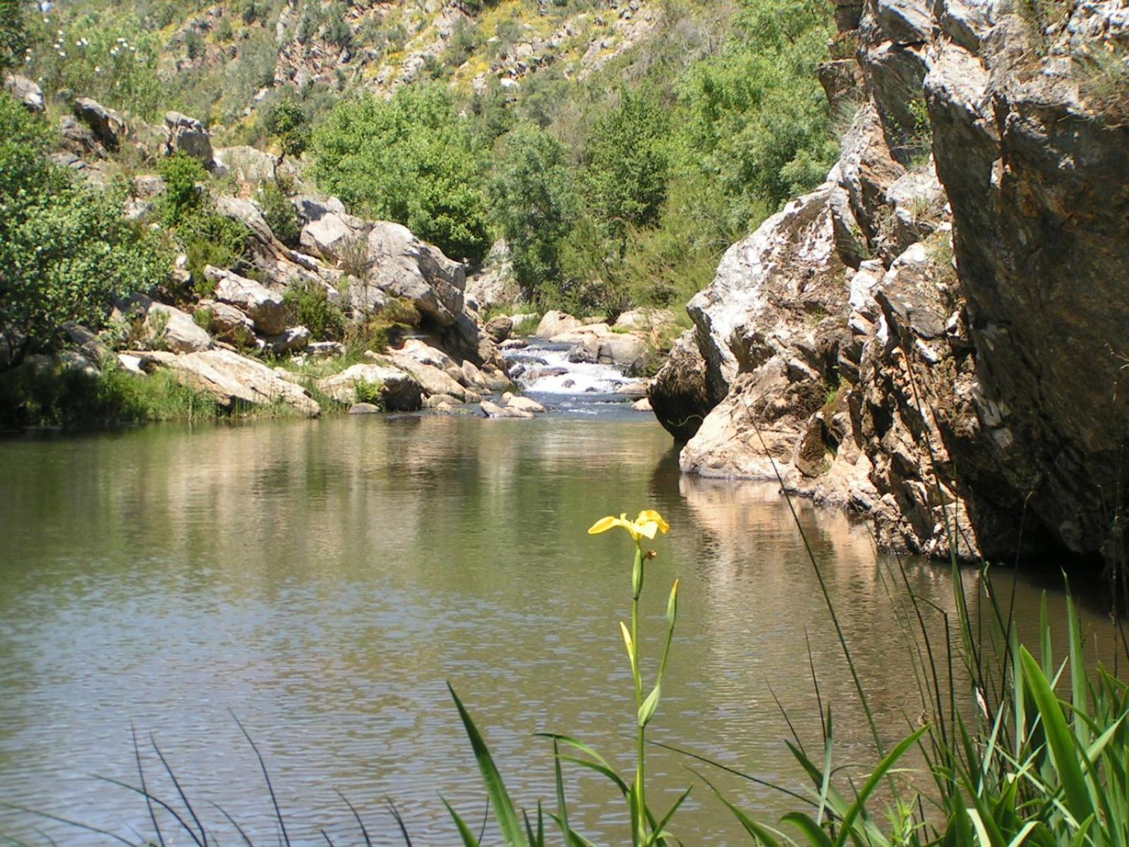 GUÍA AZUL Milfontes — photo 2