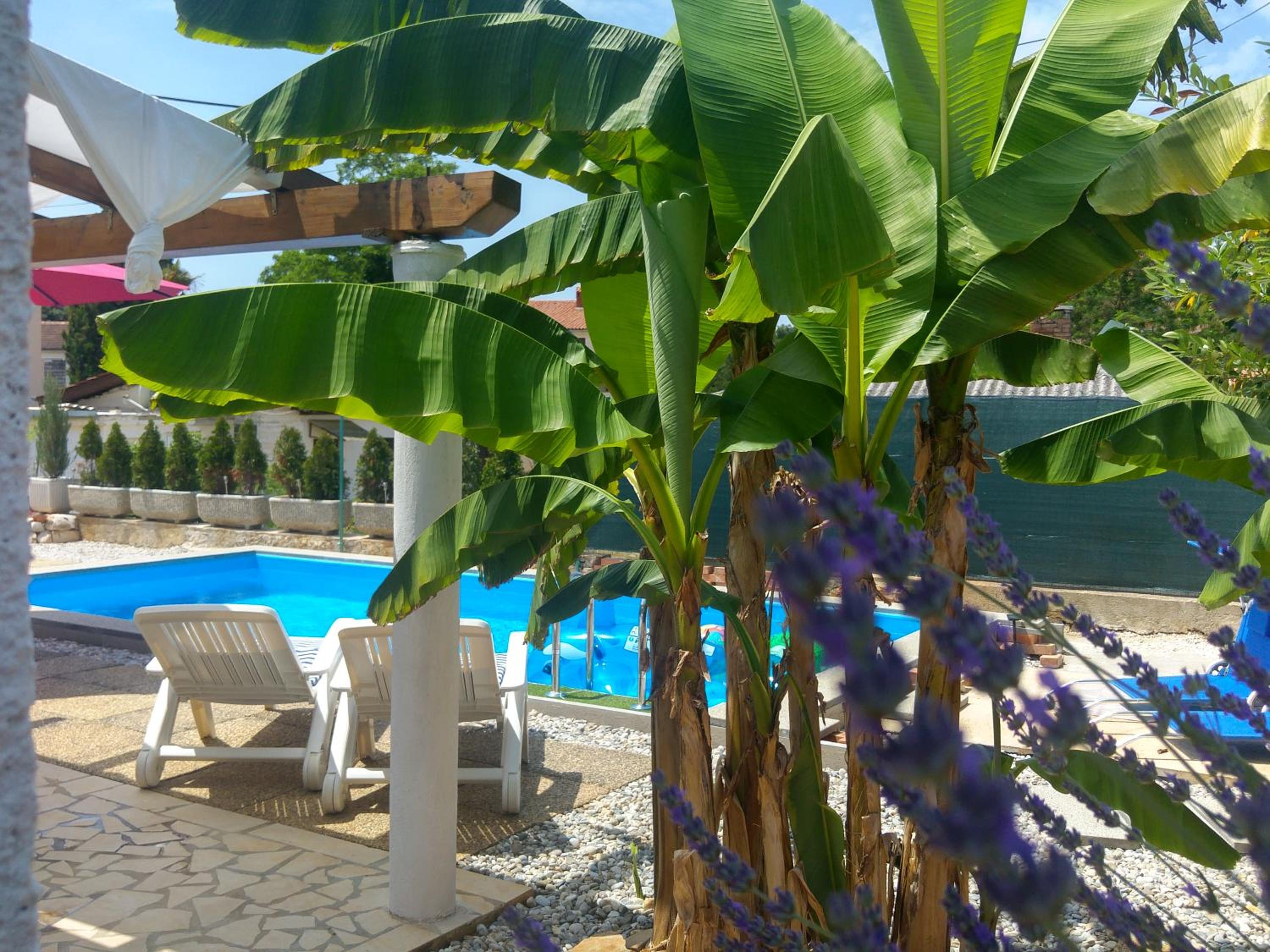 Holiday Home ZEN view 3