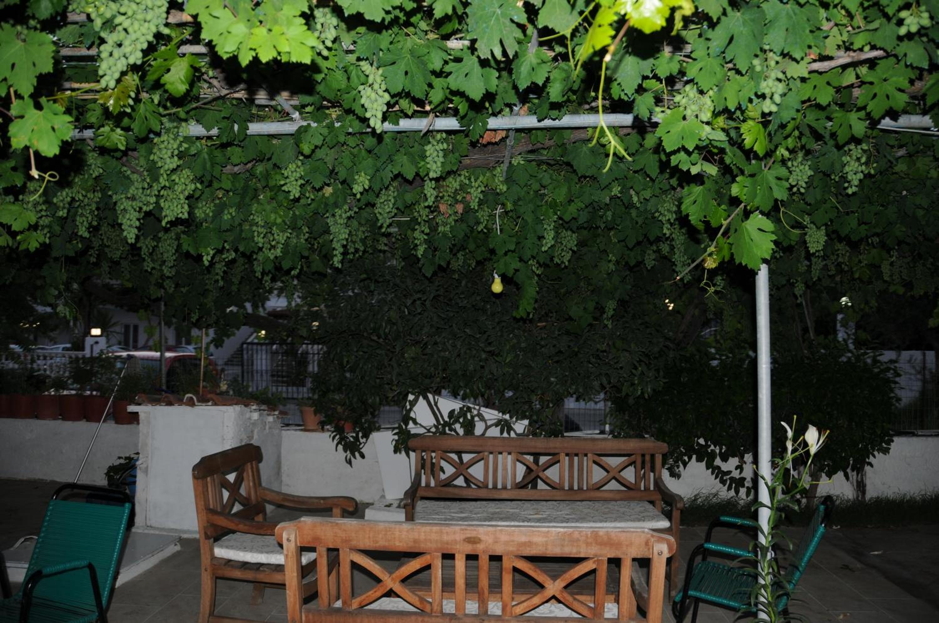 Photo 51