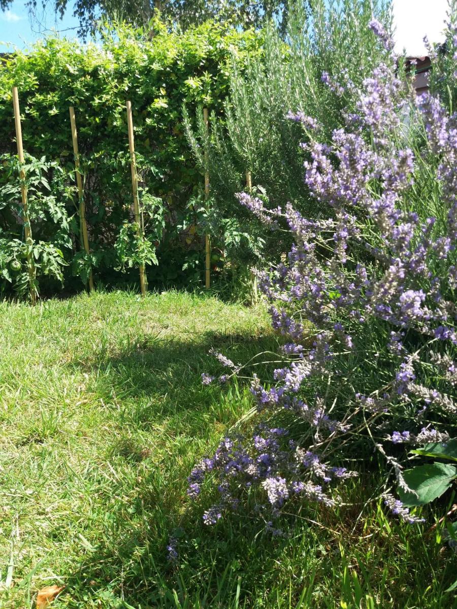 Photo 42