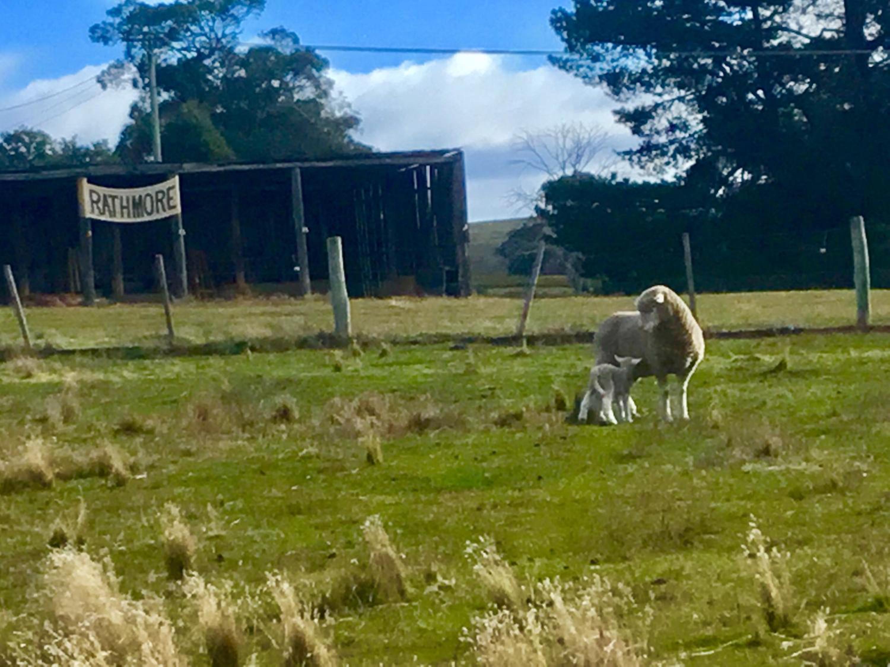 Shearers' Quarters Rathmore