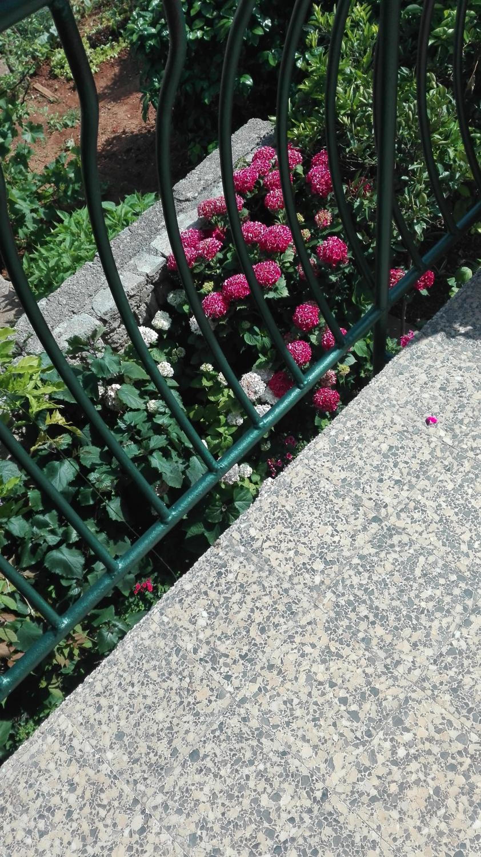 Photo 34