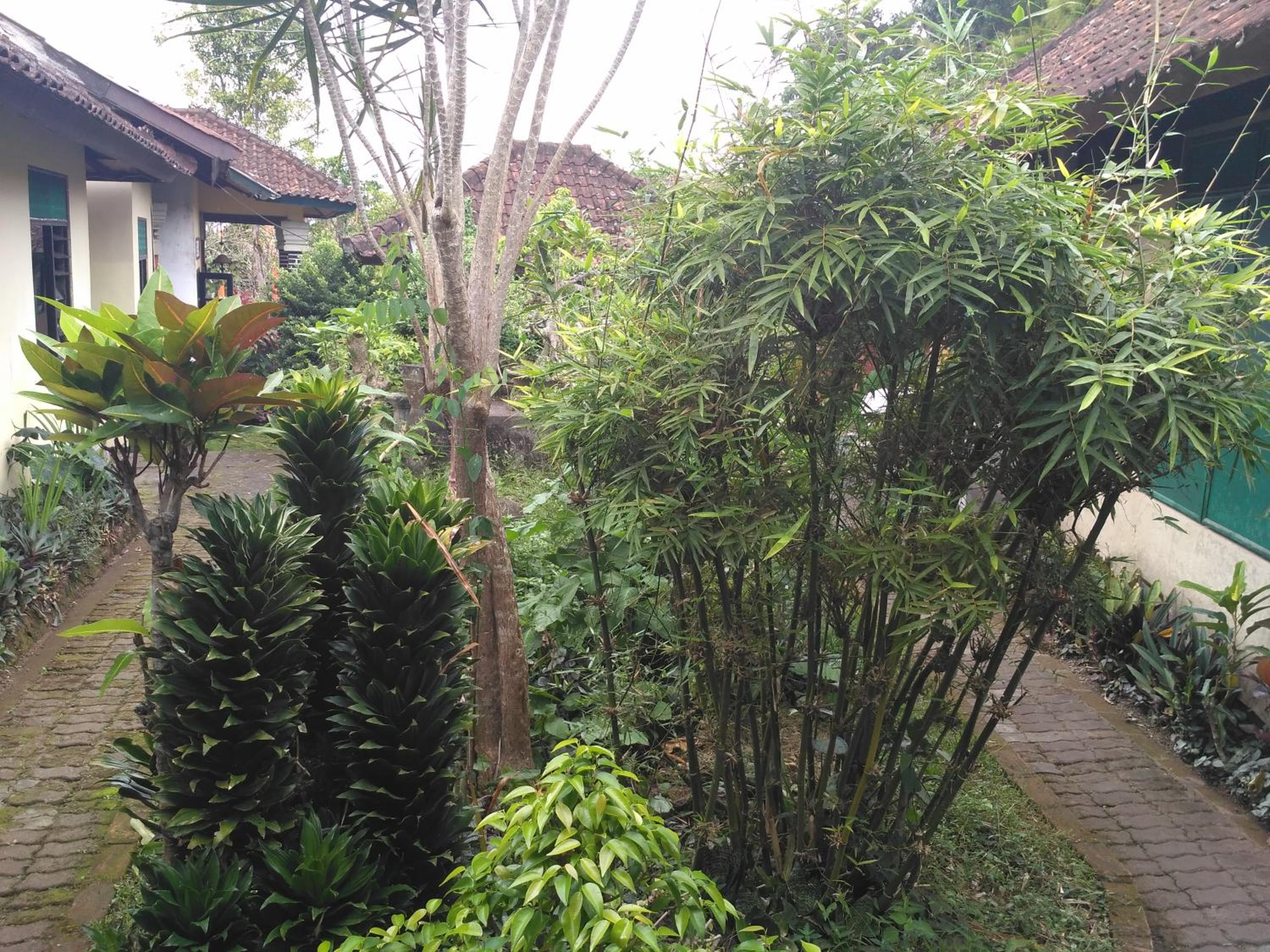 Photo 28