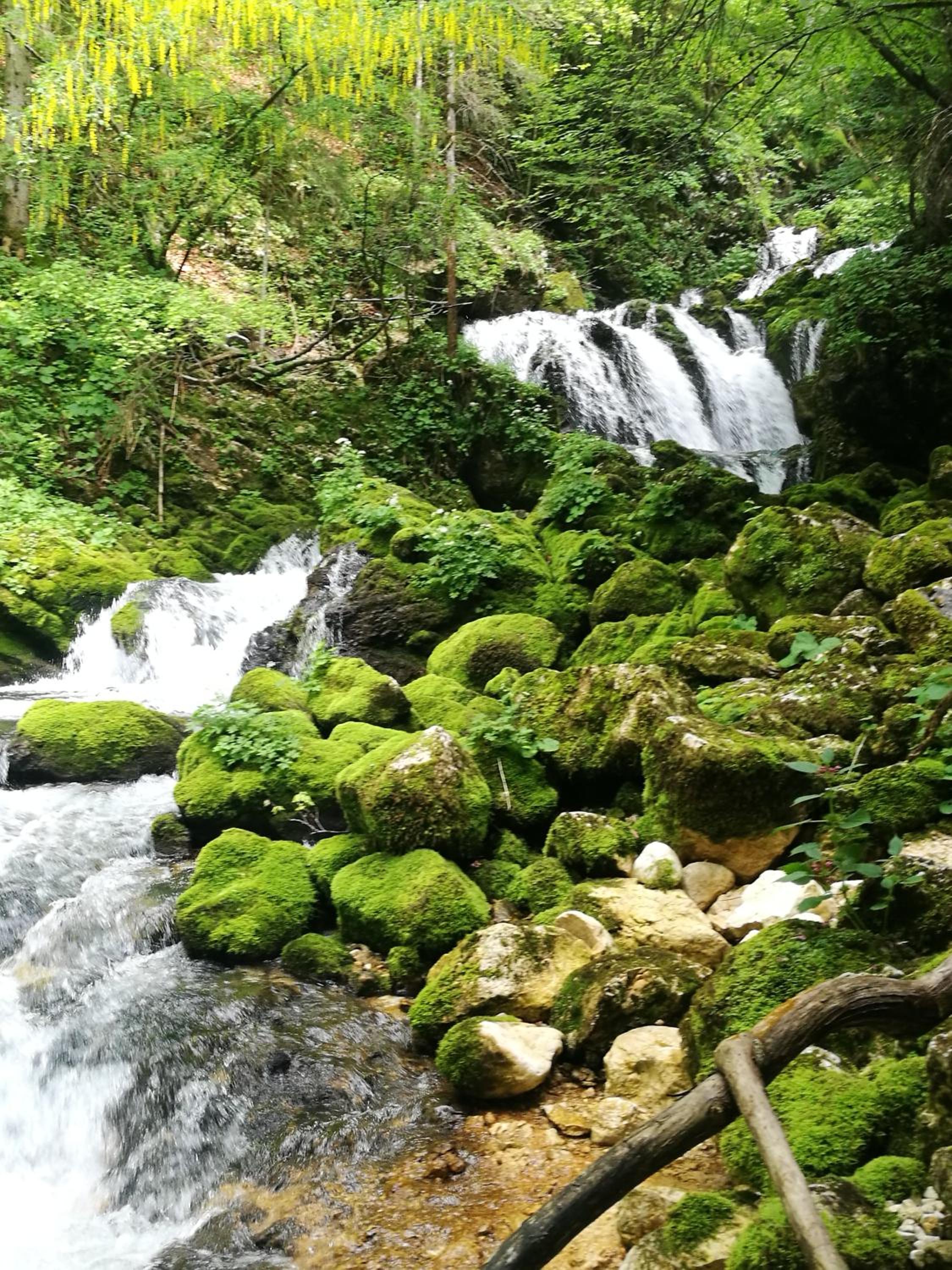 Photo 48