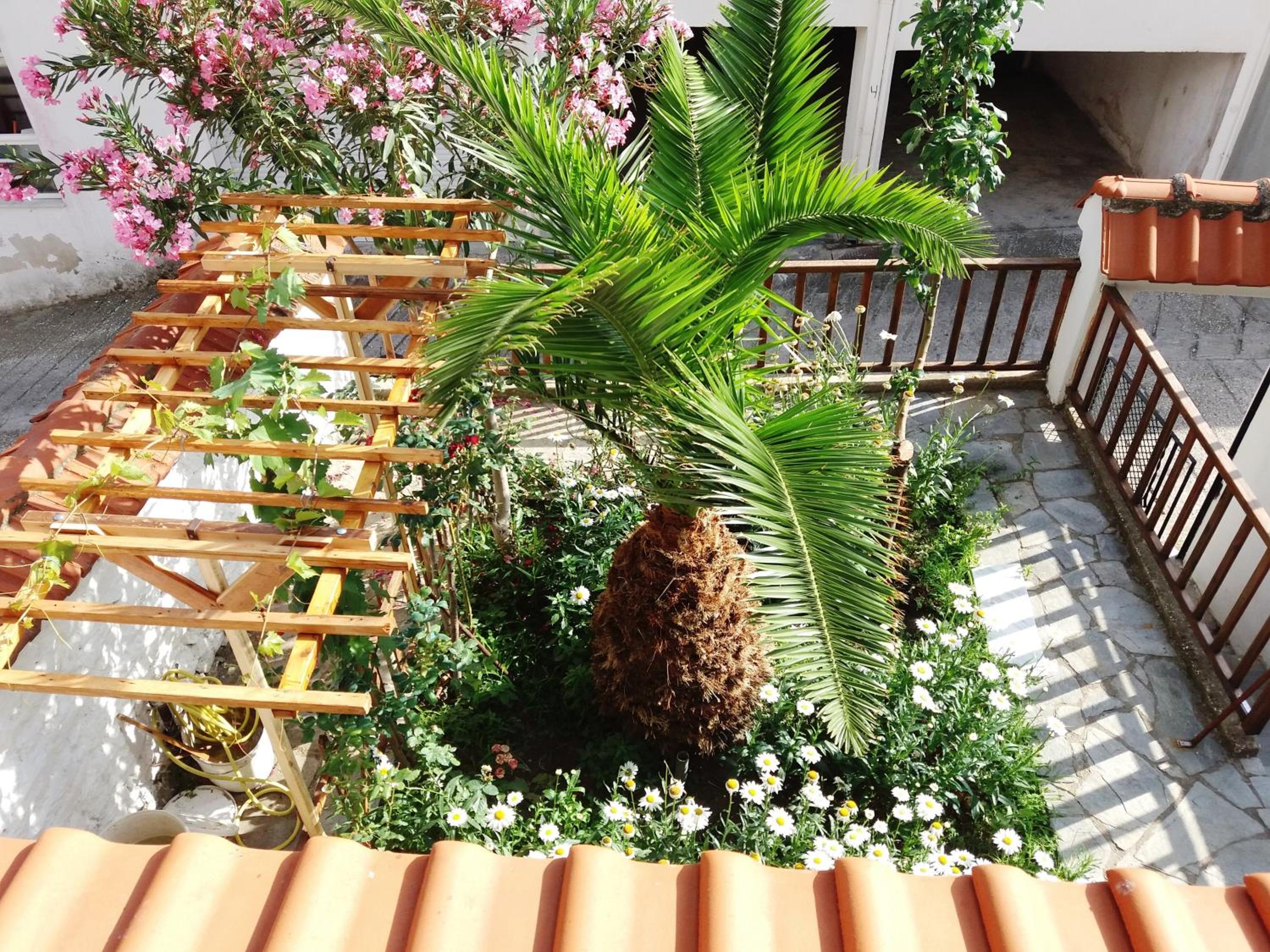 Photo 15