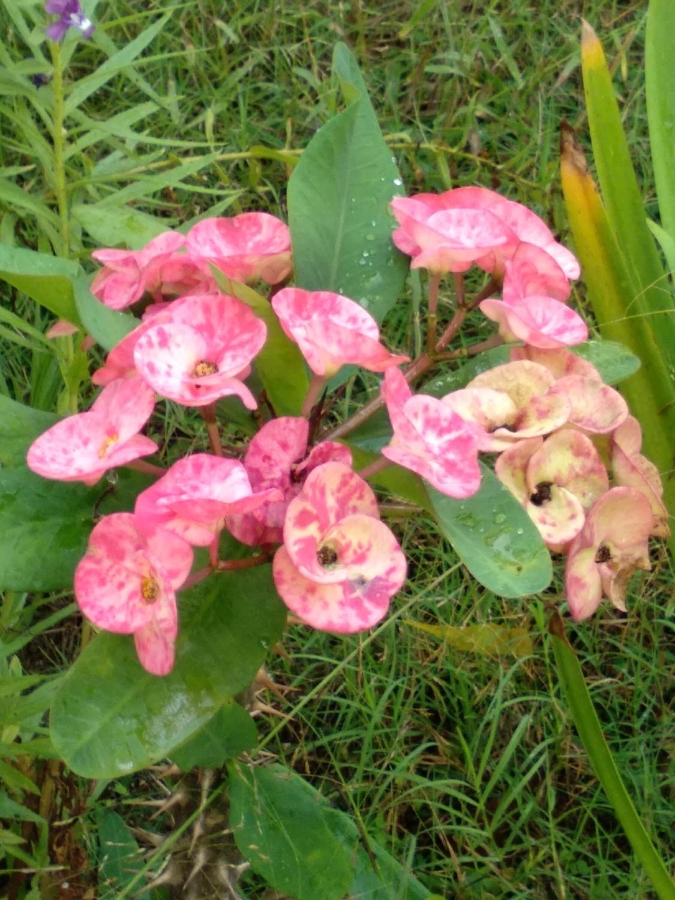 Photo 34