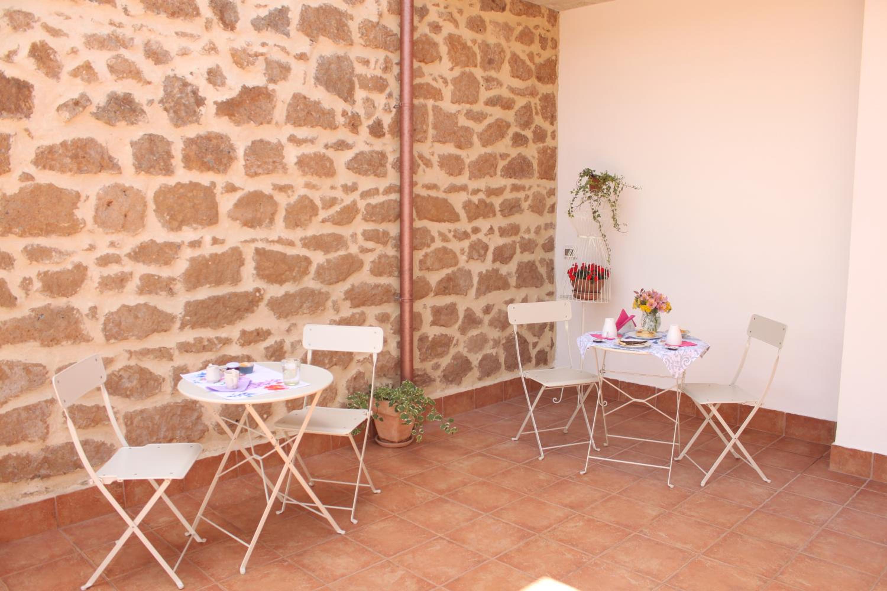 B&B Il Falco e l'Ulivo