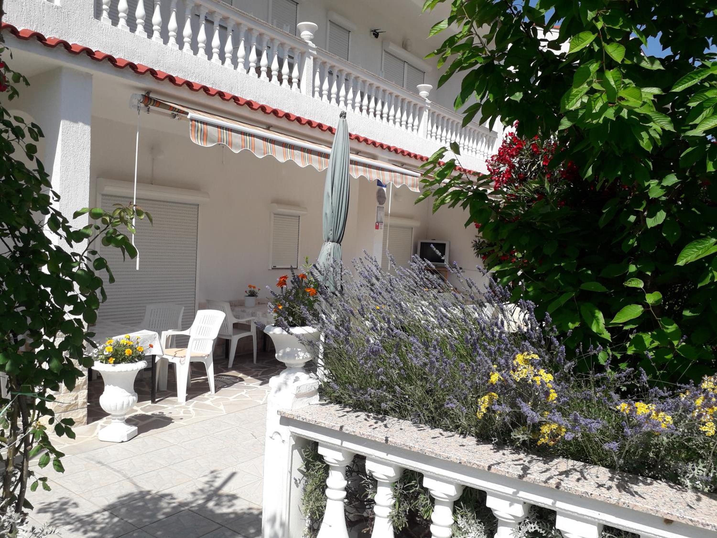 Lovely Marjetka apartment