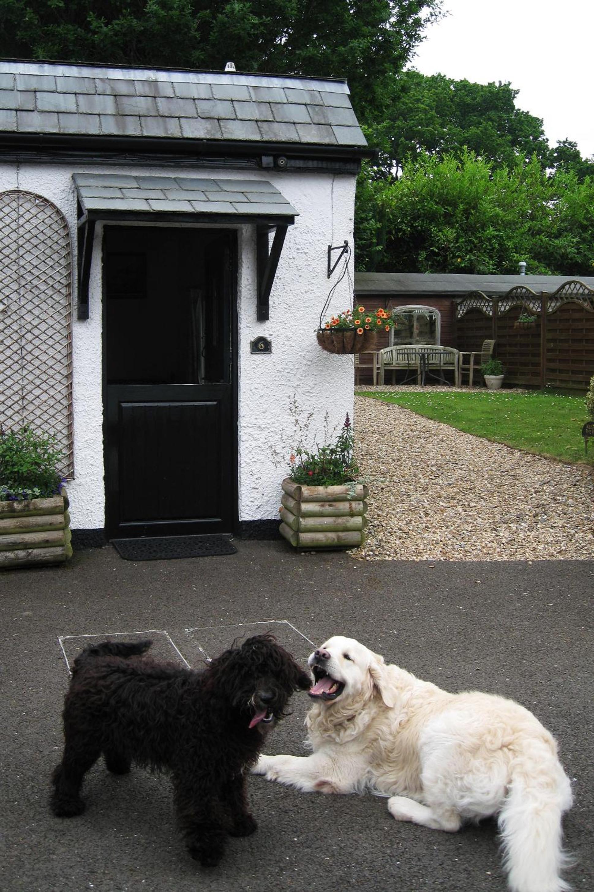 Photo 46