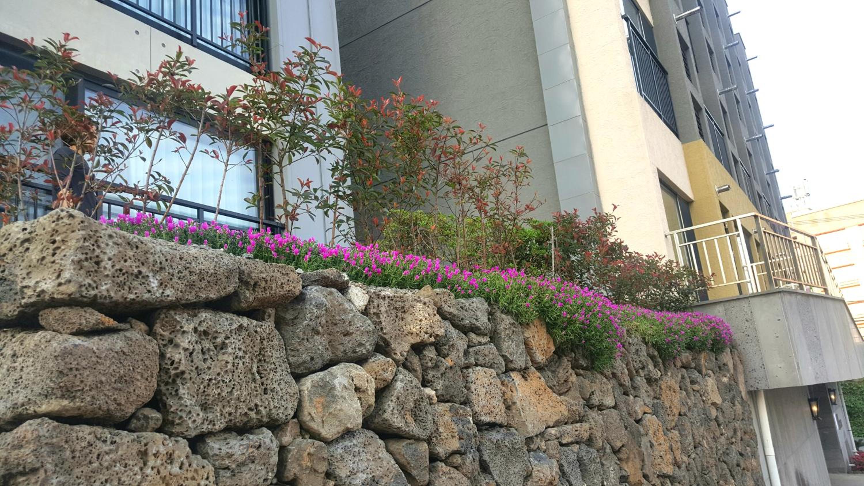 W Ocean Pension