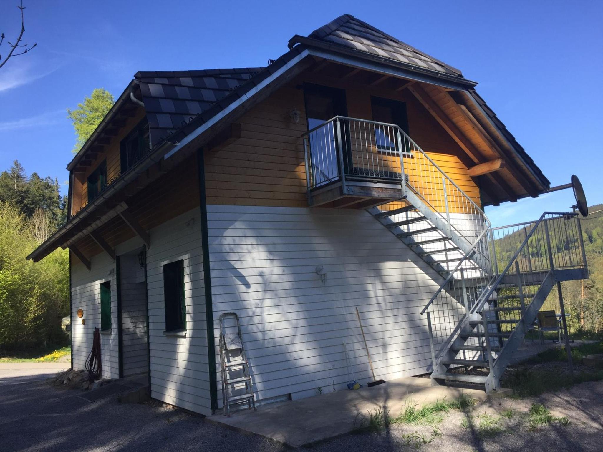 Titisee Haus Vogelnest view 3