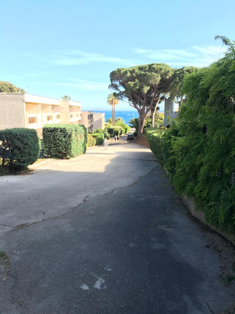 Photo 28