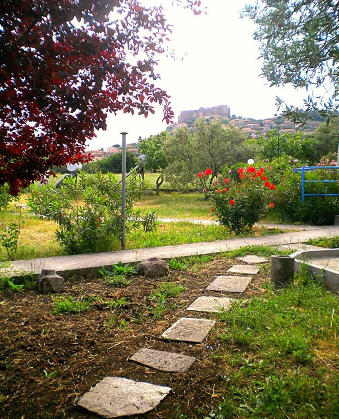 Photo 22