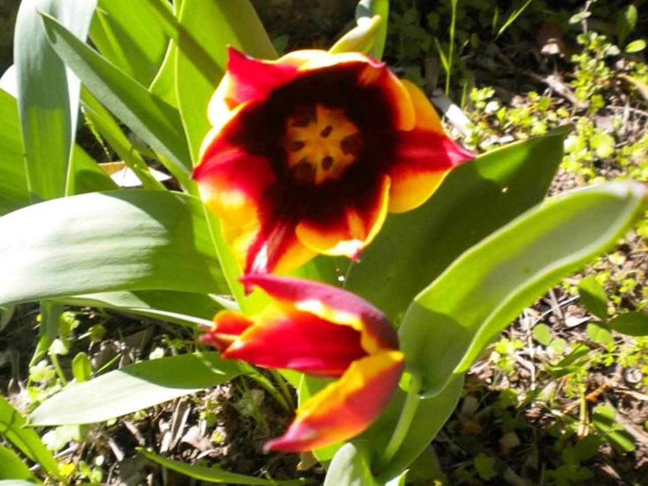 Photo 7