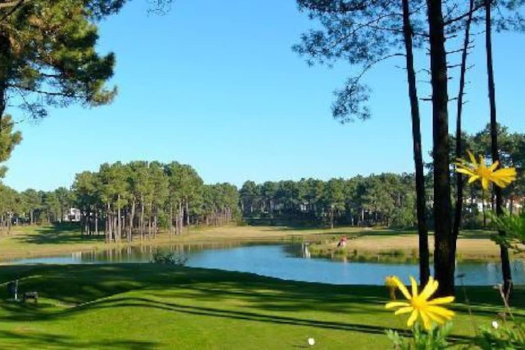 Sea Breeze Golf & Beach Villa view 4