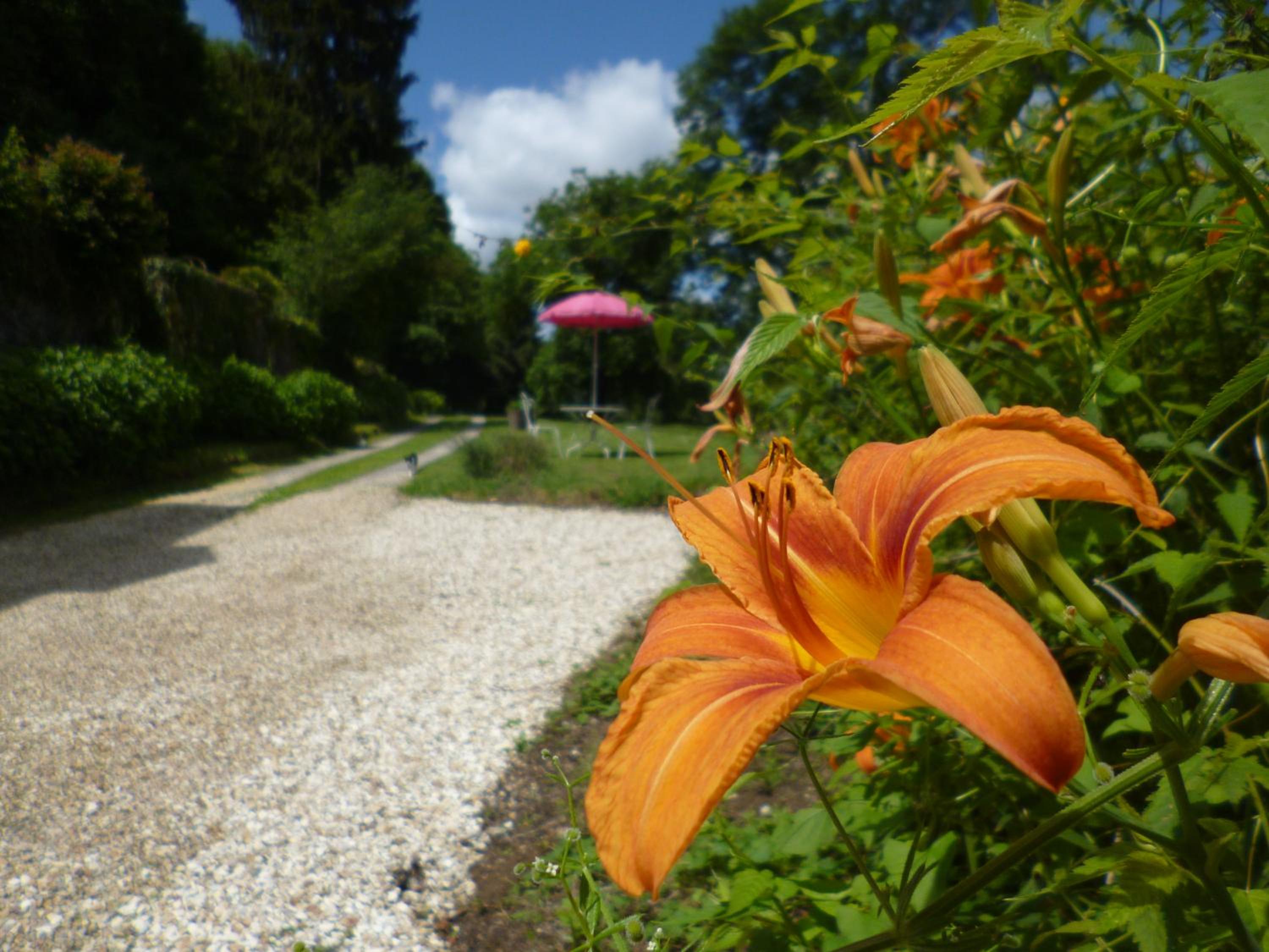 Le Moulin de Cors