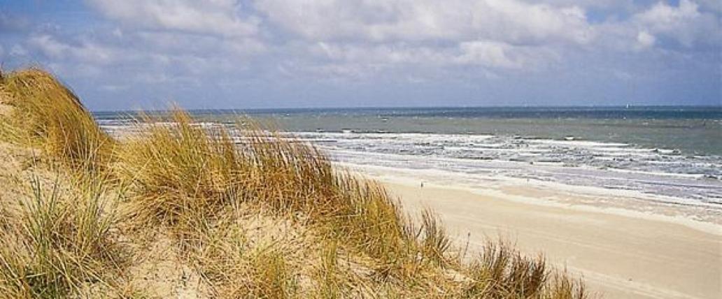 De Panne Plaza view 3