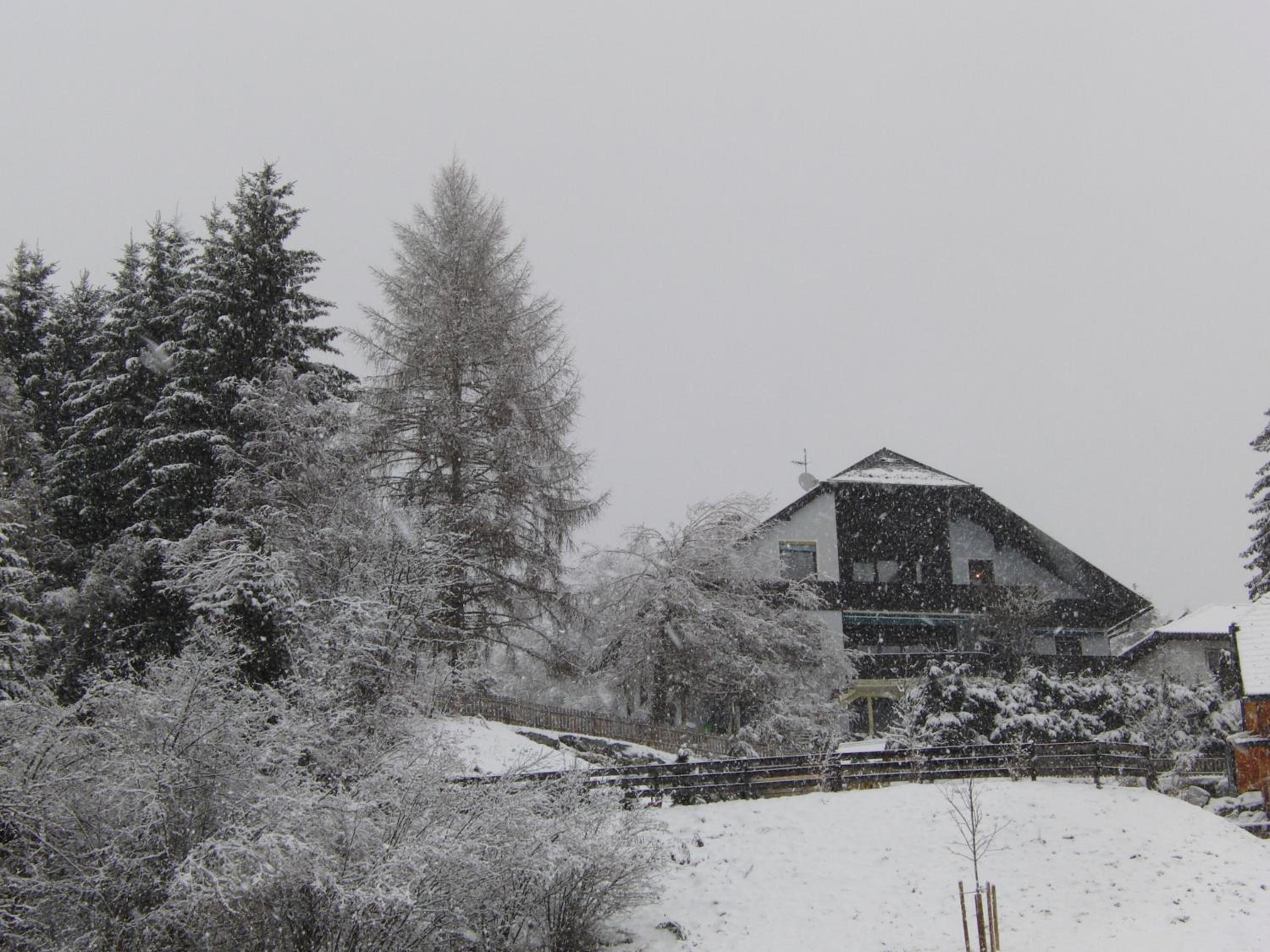 Haus Verdi