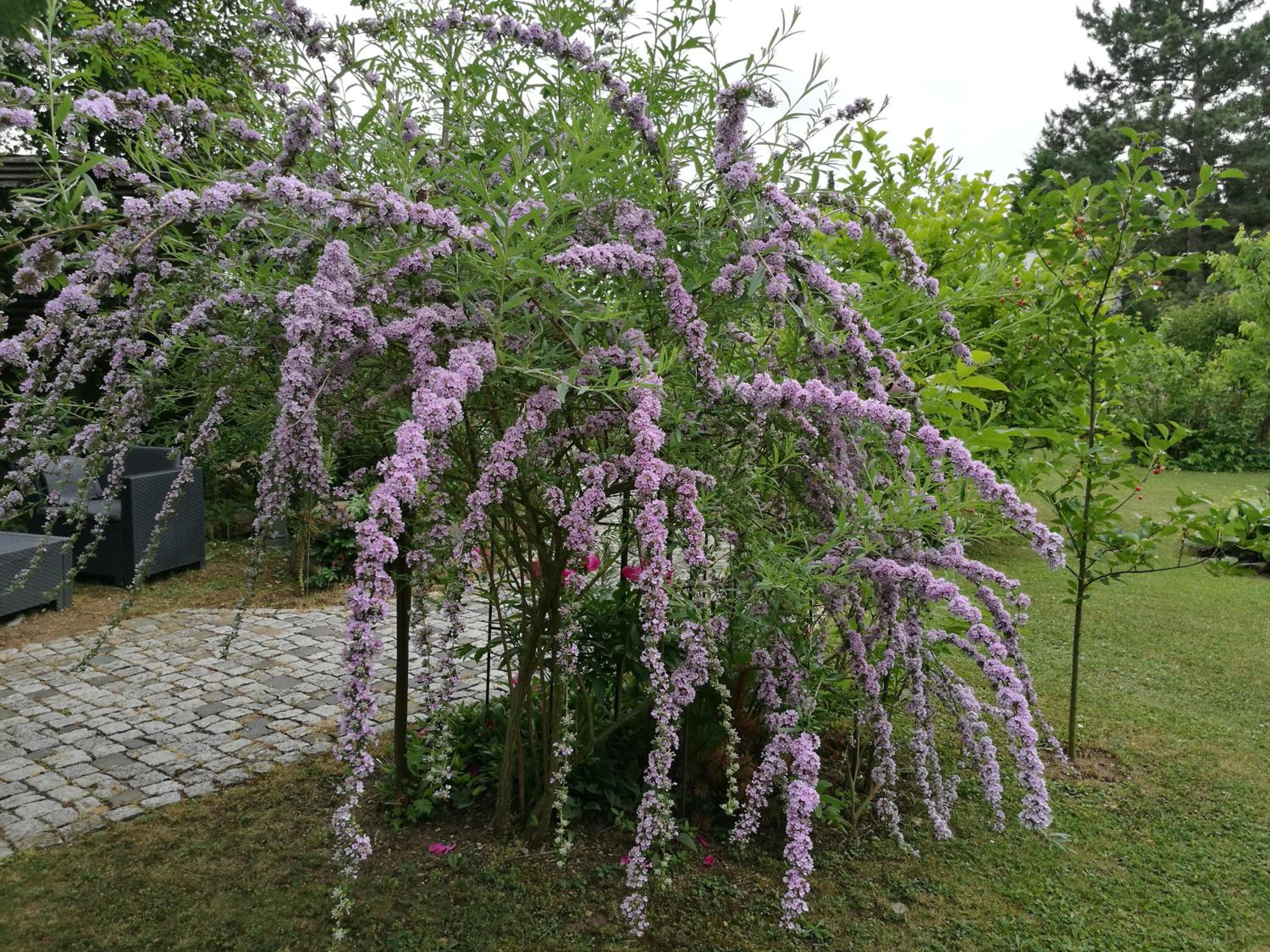 Photo 28