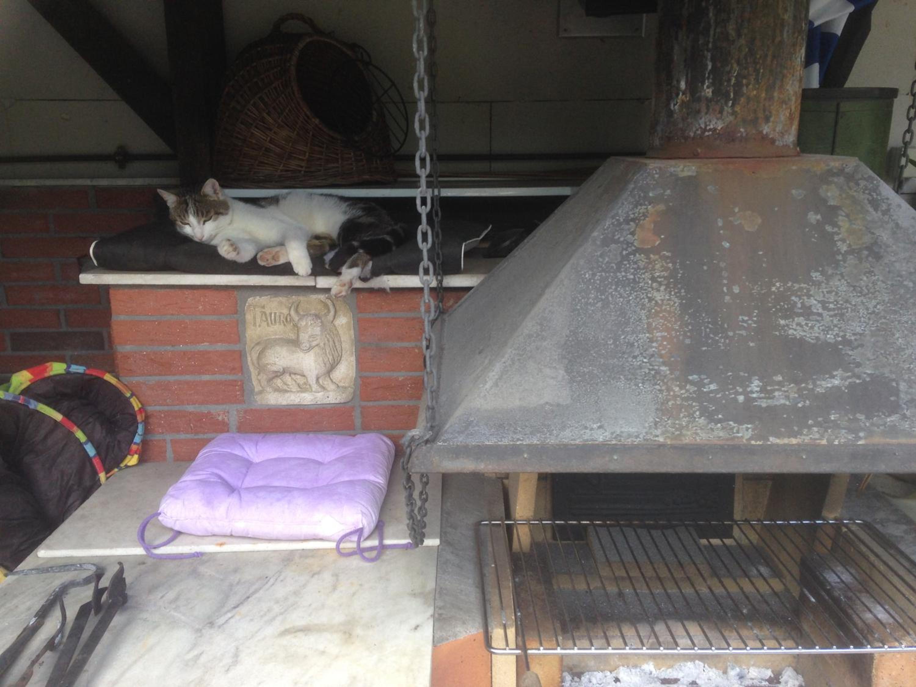 Photo 14