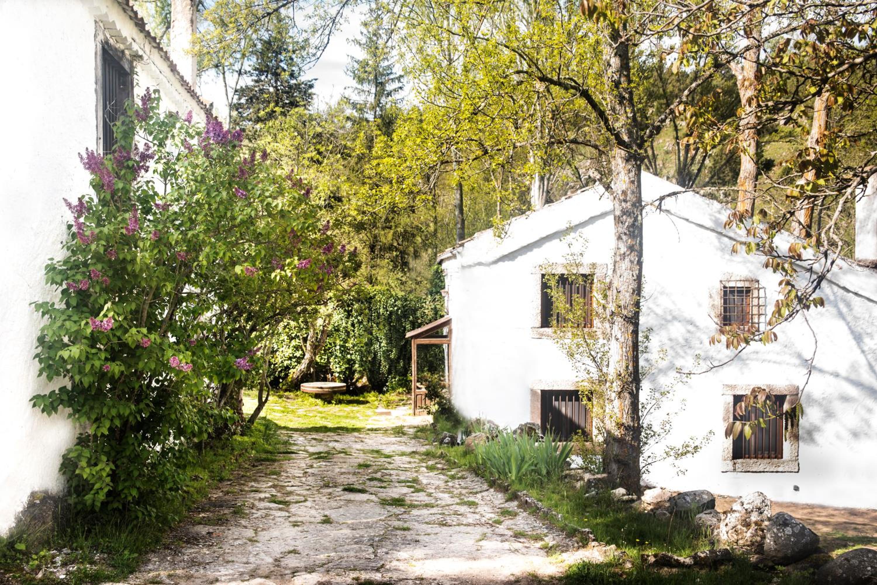 Molino del Feo