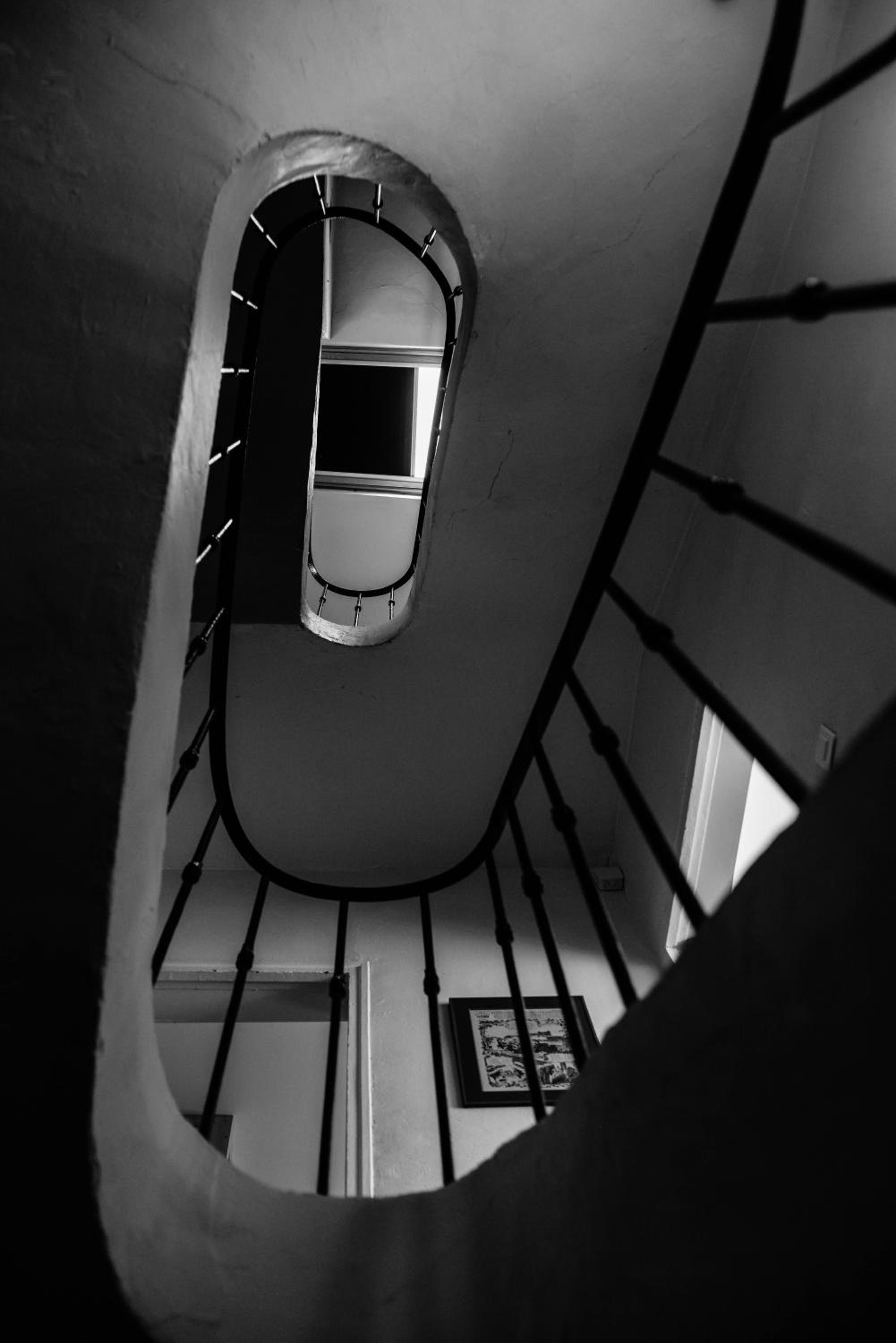 Le Sureau