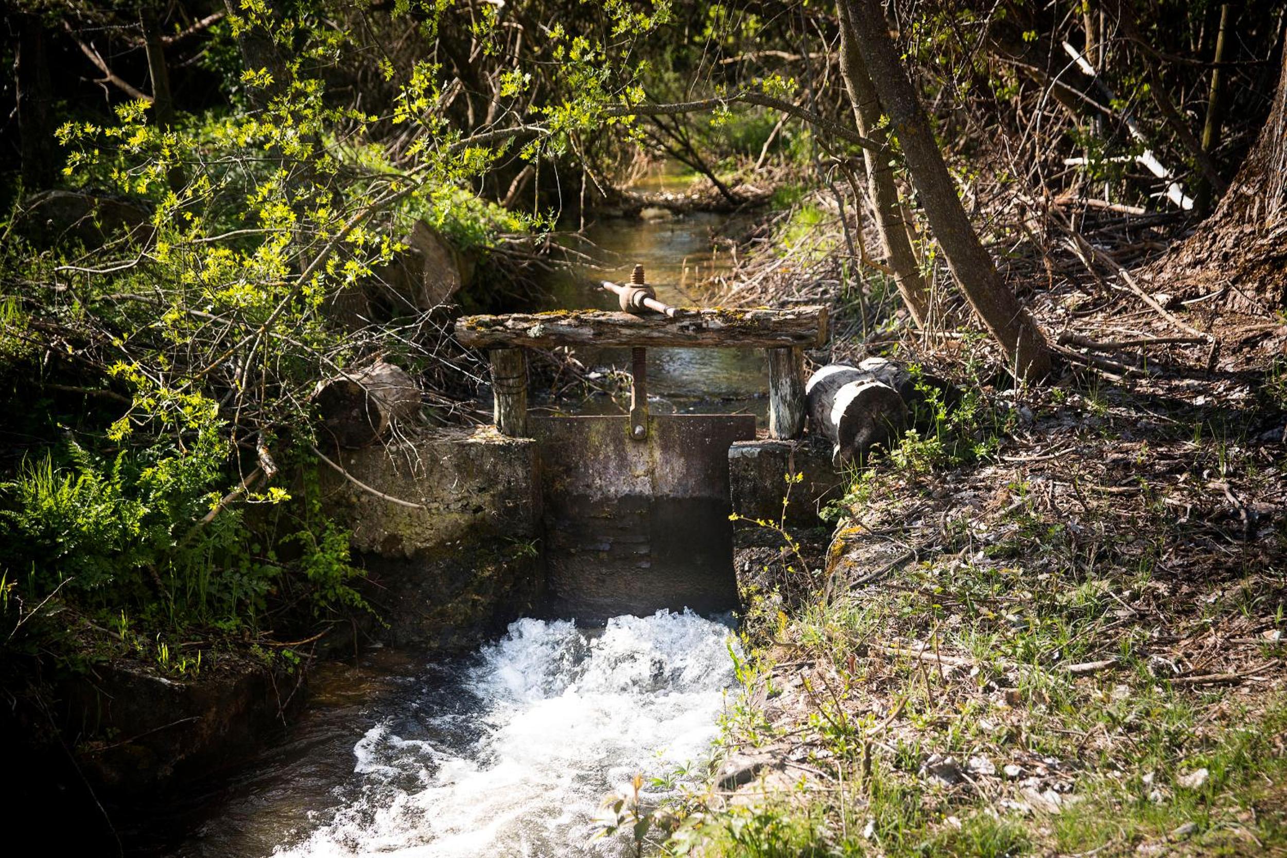Molino del Feo