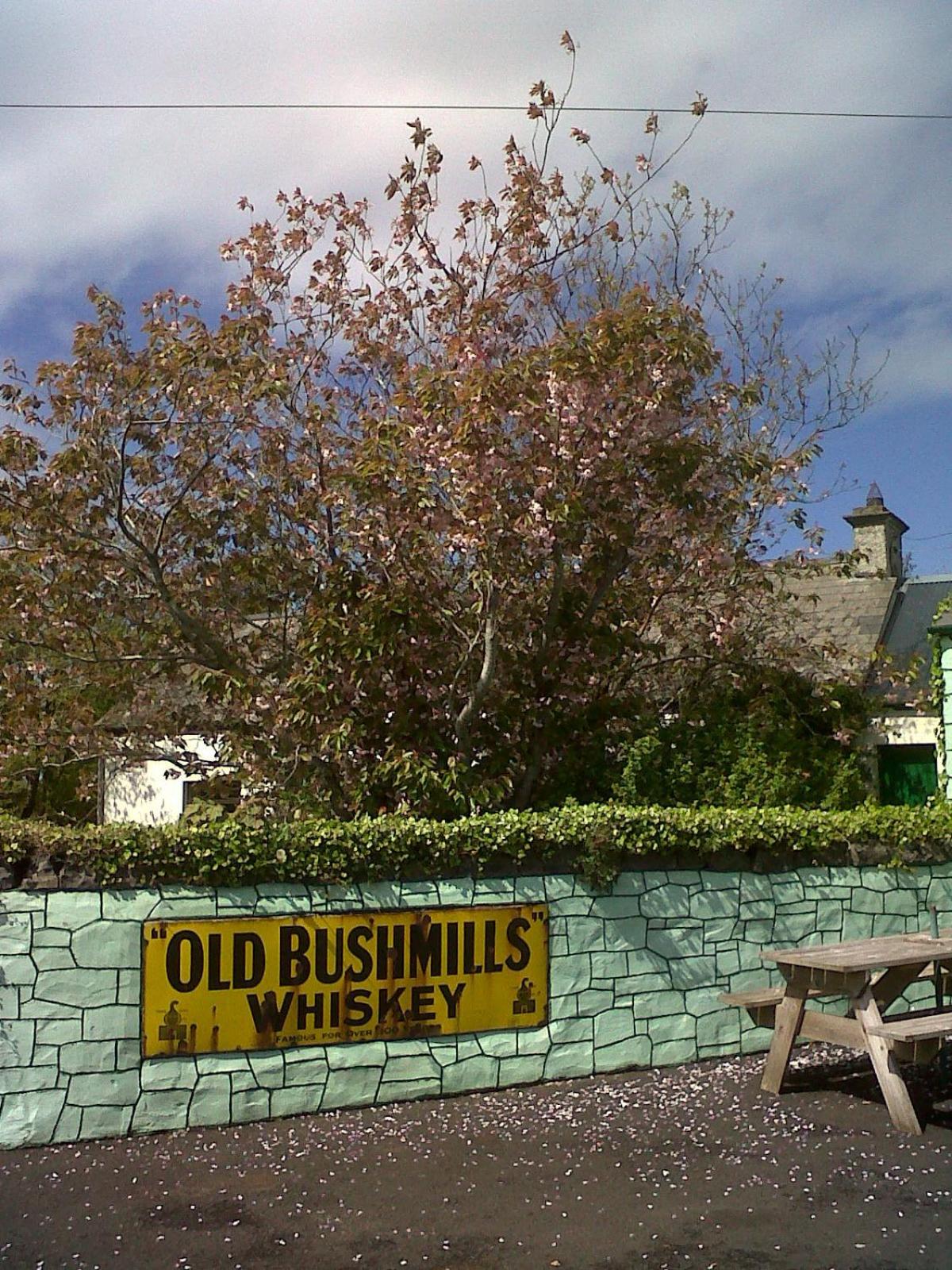 Bushmills Vacations - Causeway tavern bed  breakfast - Property Image 16