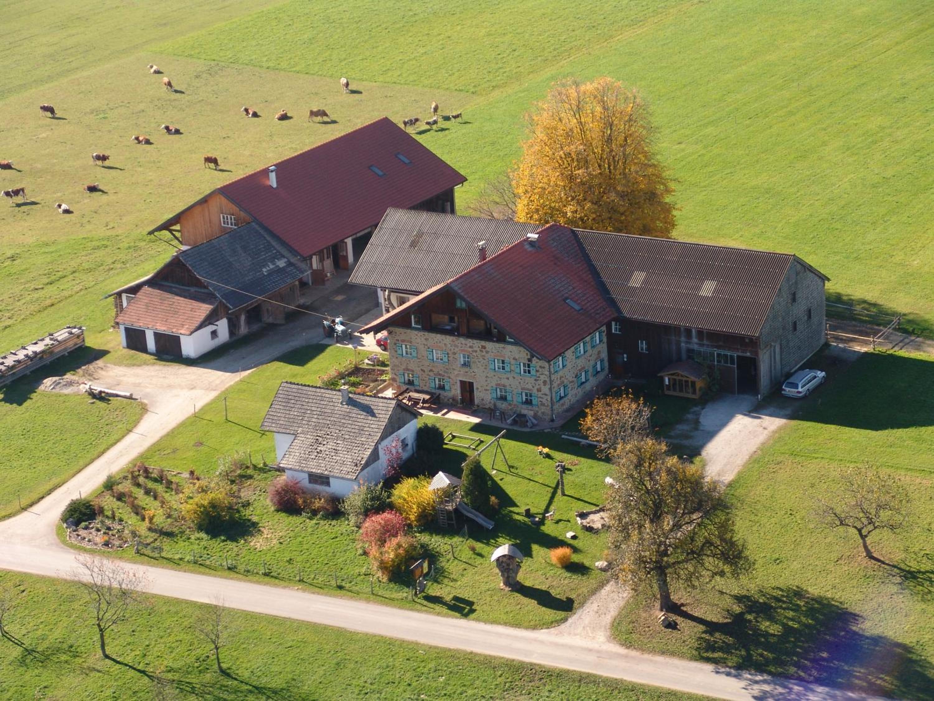 Baby- und Kinderhof Aicherbauer view 3
