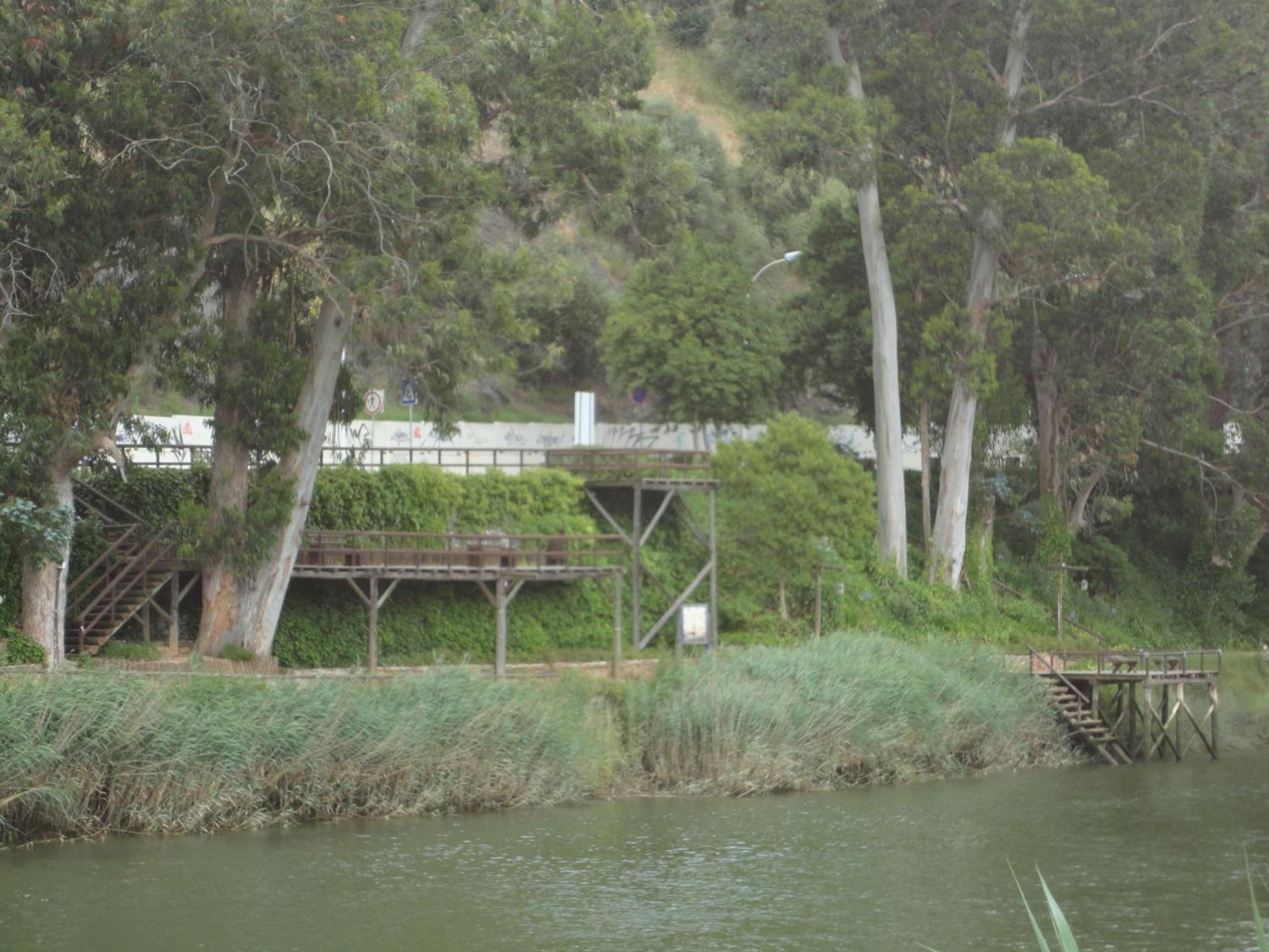 Photo 30