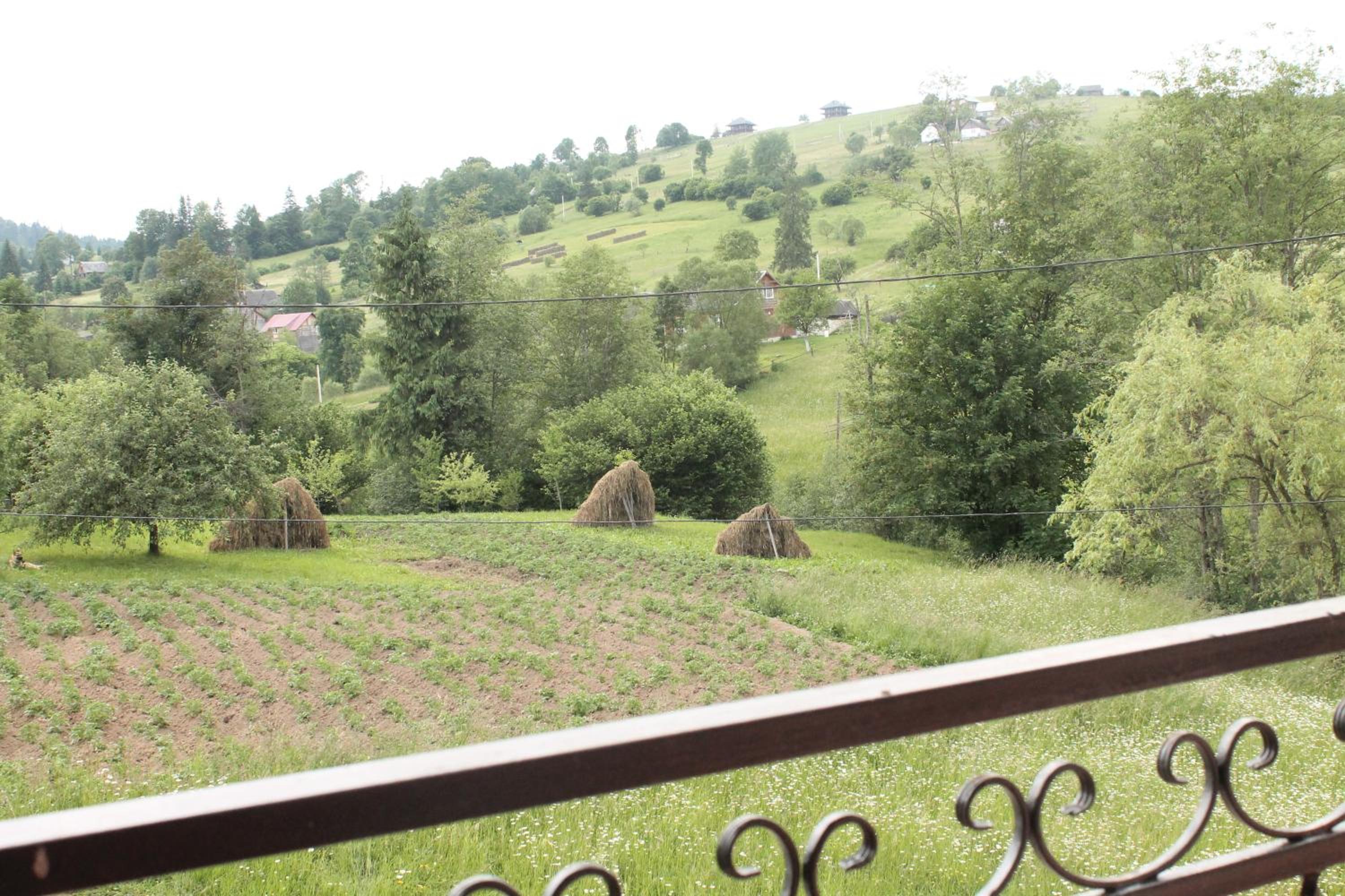 Photo 42