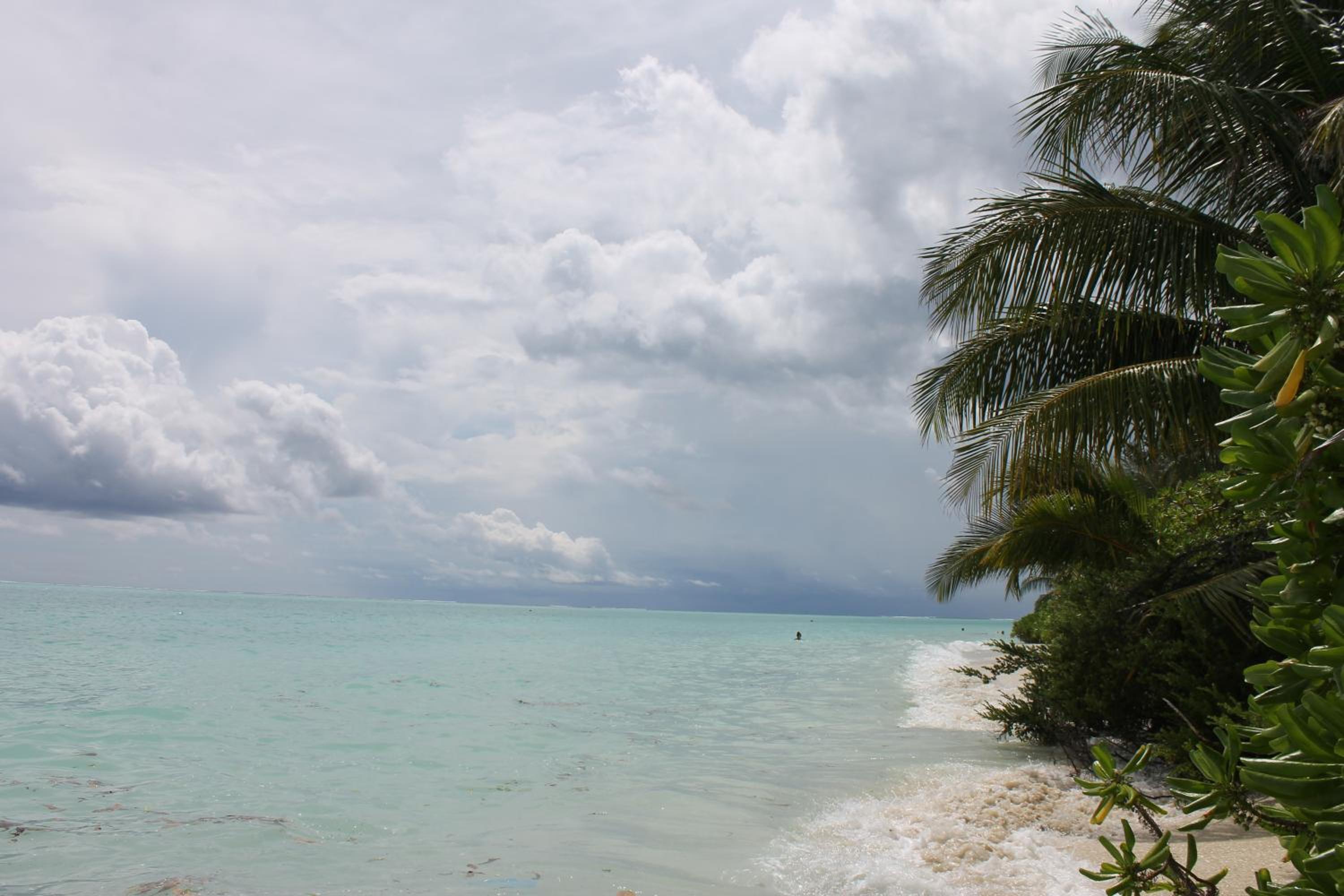 Evila Inn - Thoddoo