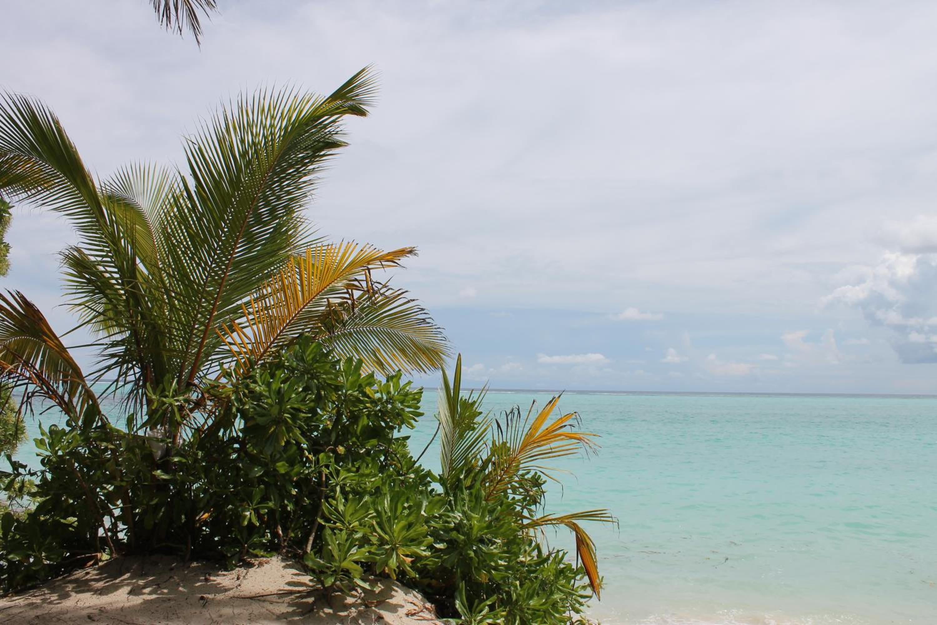 Evila Inn - Thoddoo