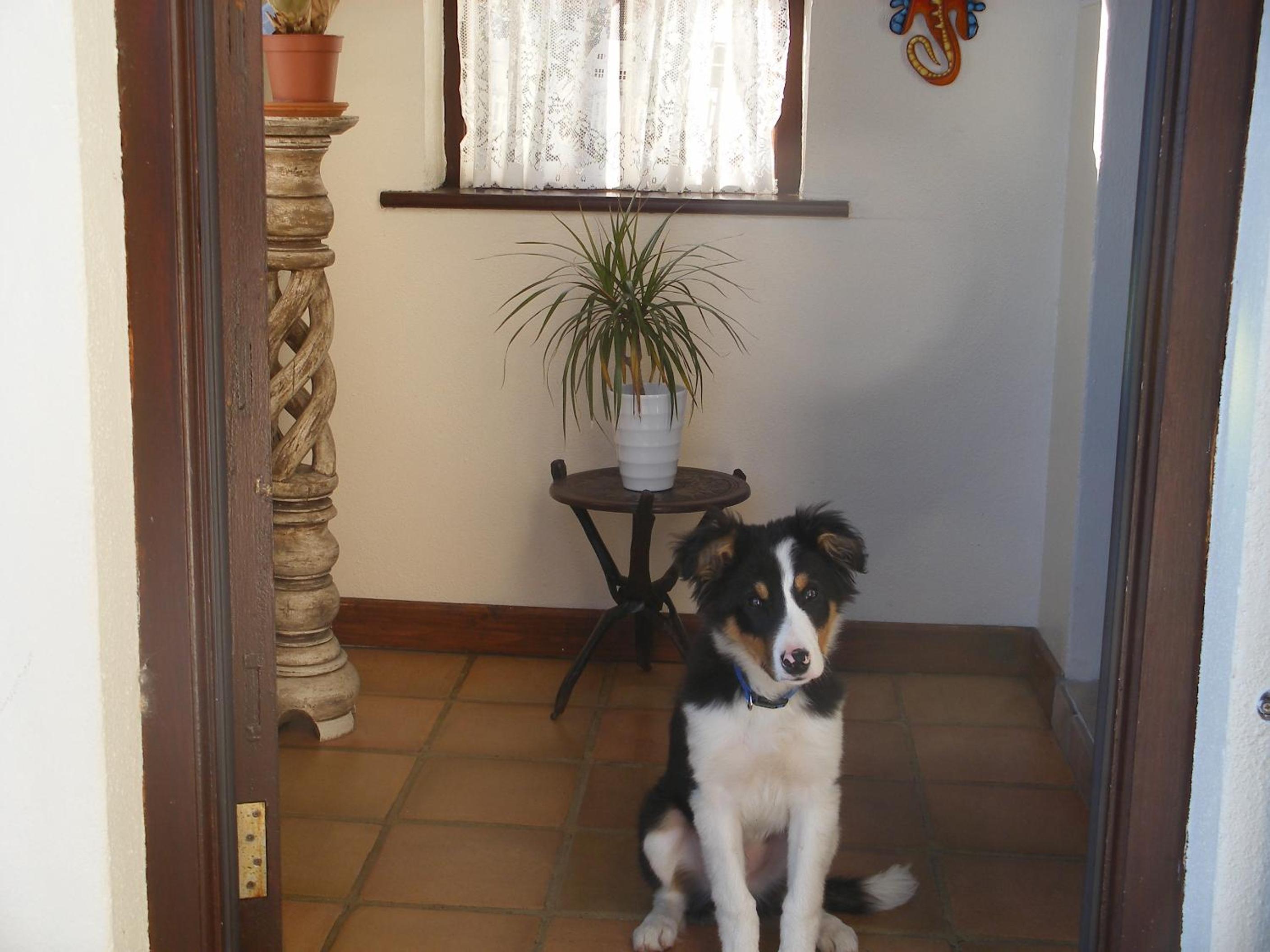 Doolin Cottage Accommodation