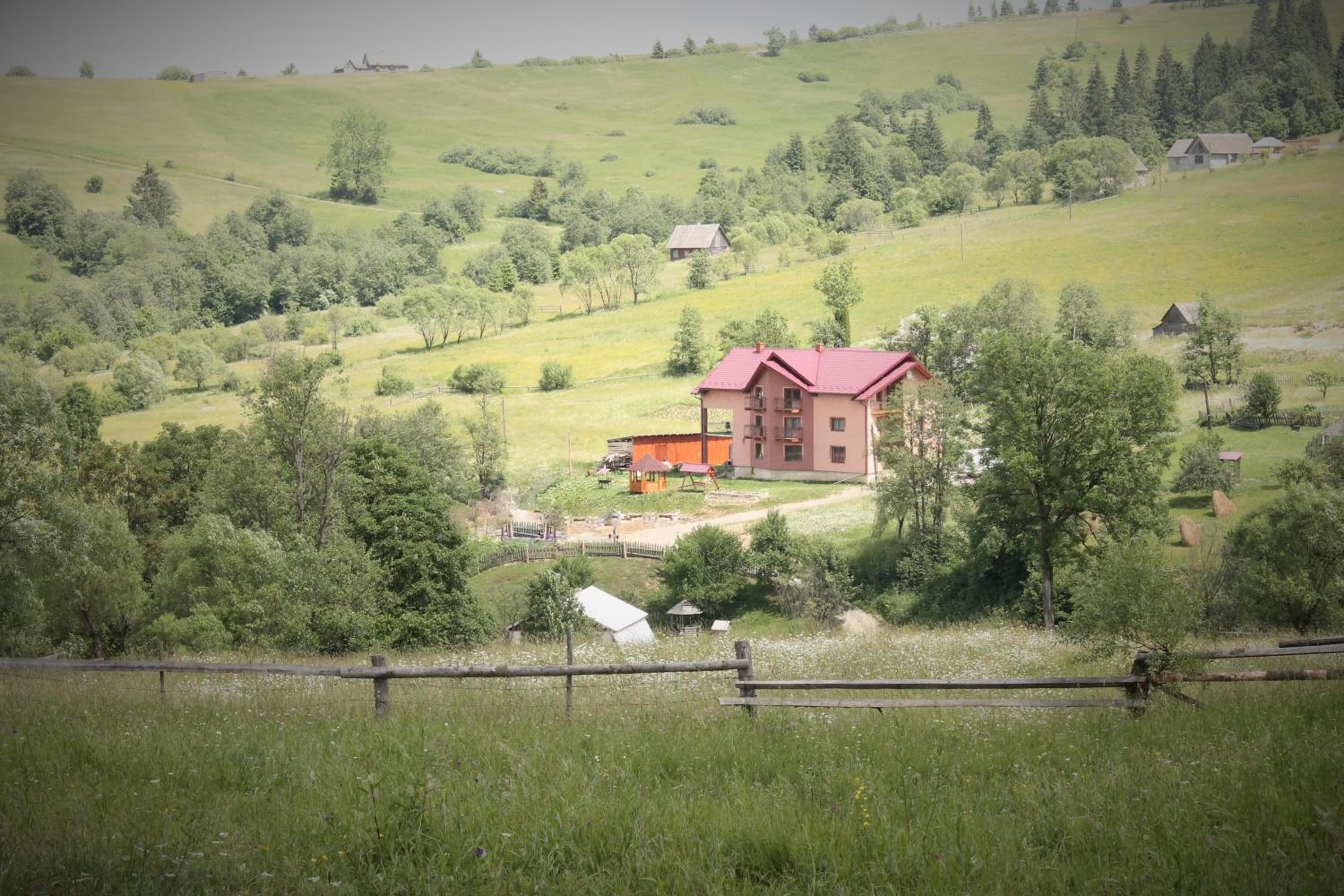 Photo 7