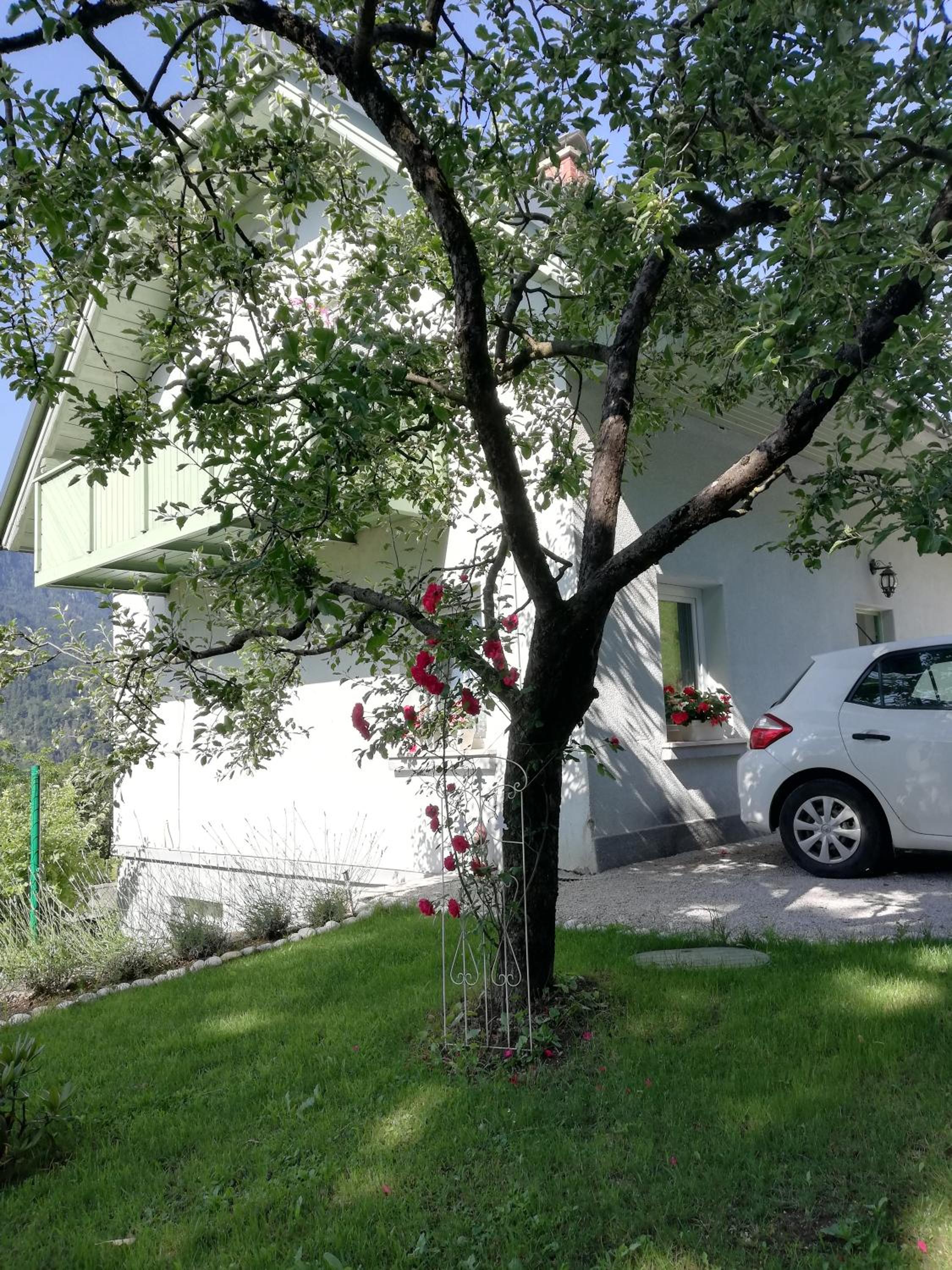 Photo 31