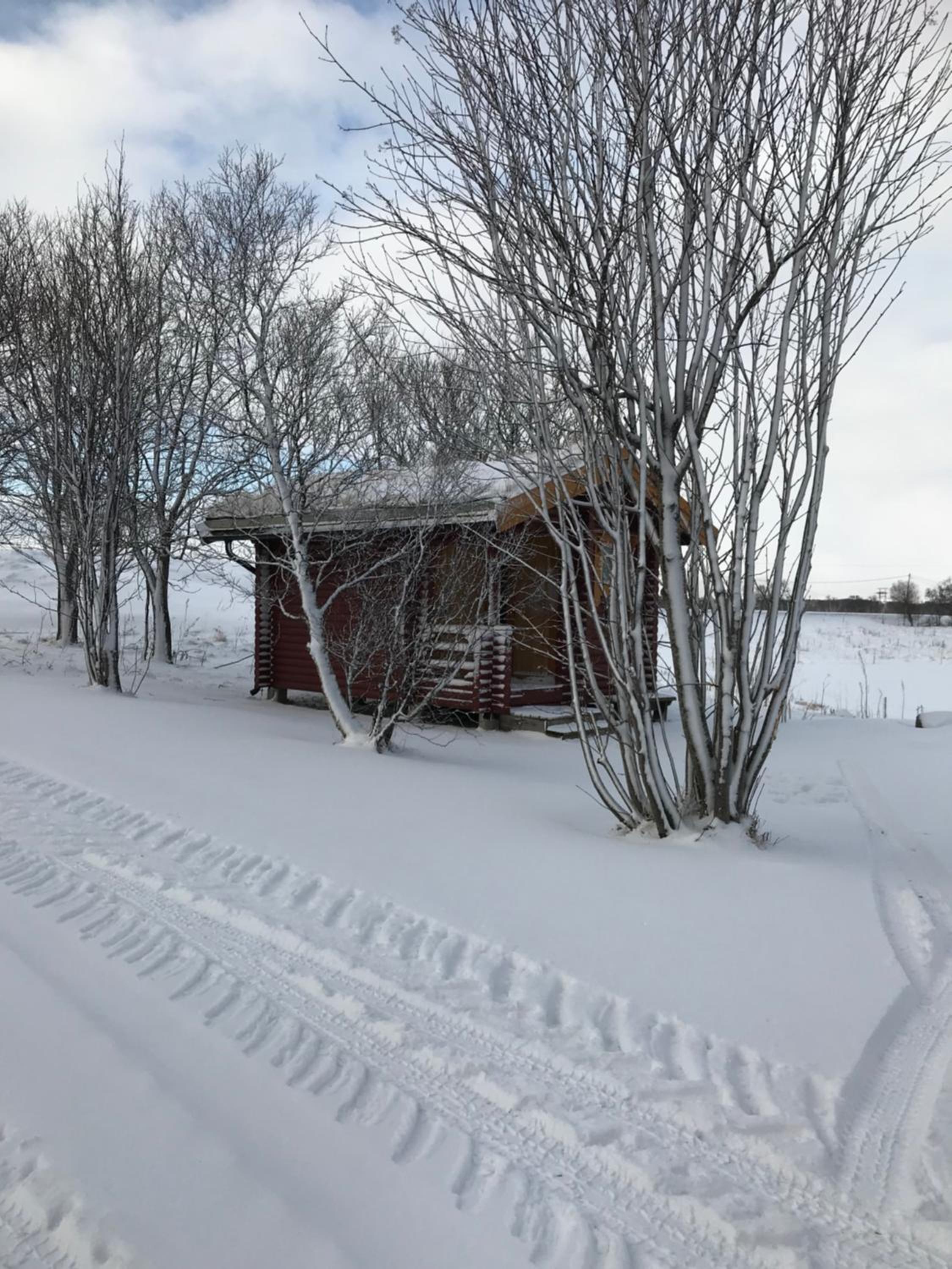 Photo 8